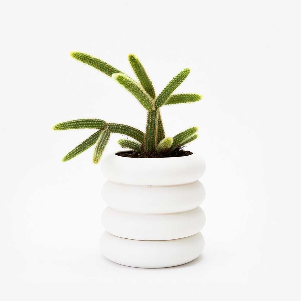 STACKING PLANTER | BLUMENGEFÄSSE | Chen Chen & Kai Williams | Areaware - Charles & Marie