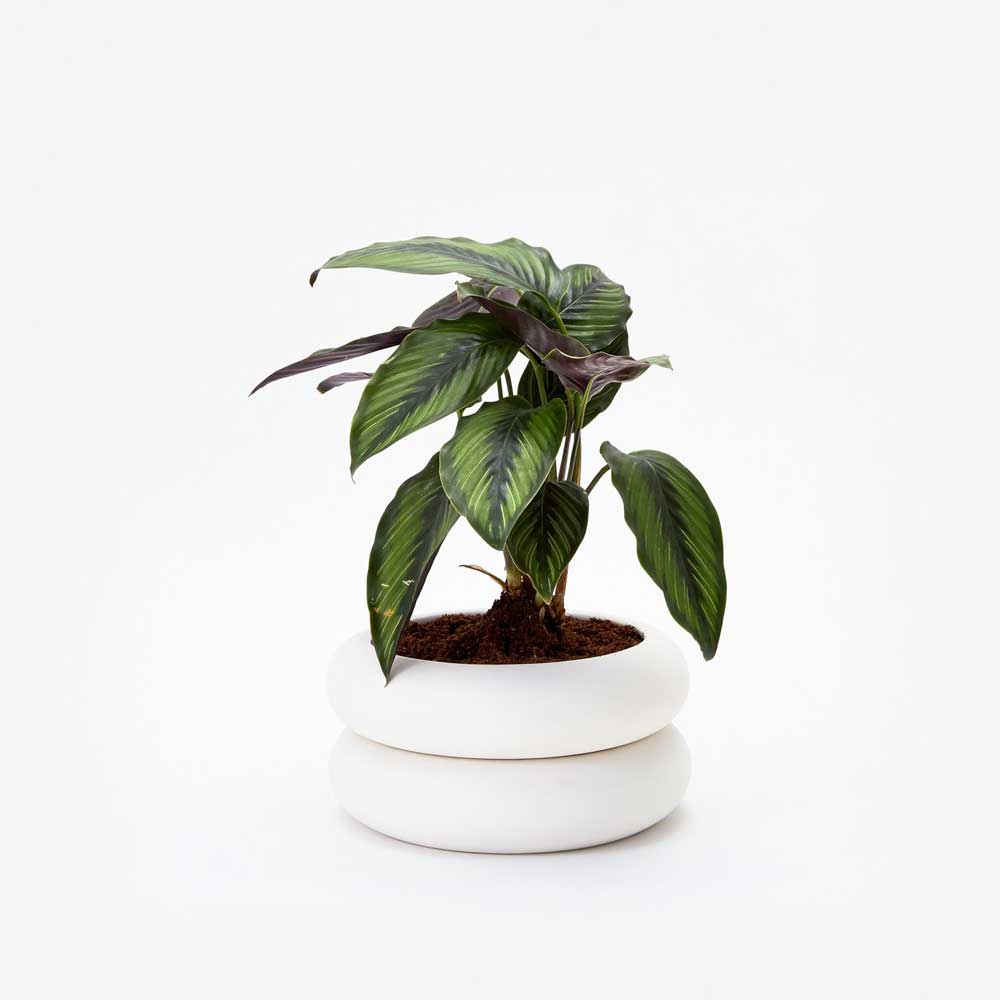 STACKING PLANTER | BLUMENGEFÄSSE | Chen Chen & Kai Williams | Areaware - Charles & Marie