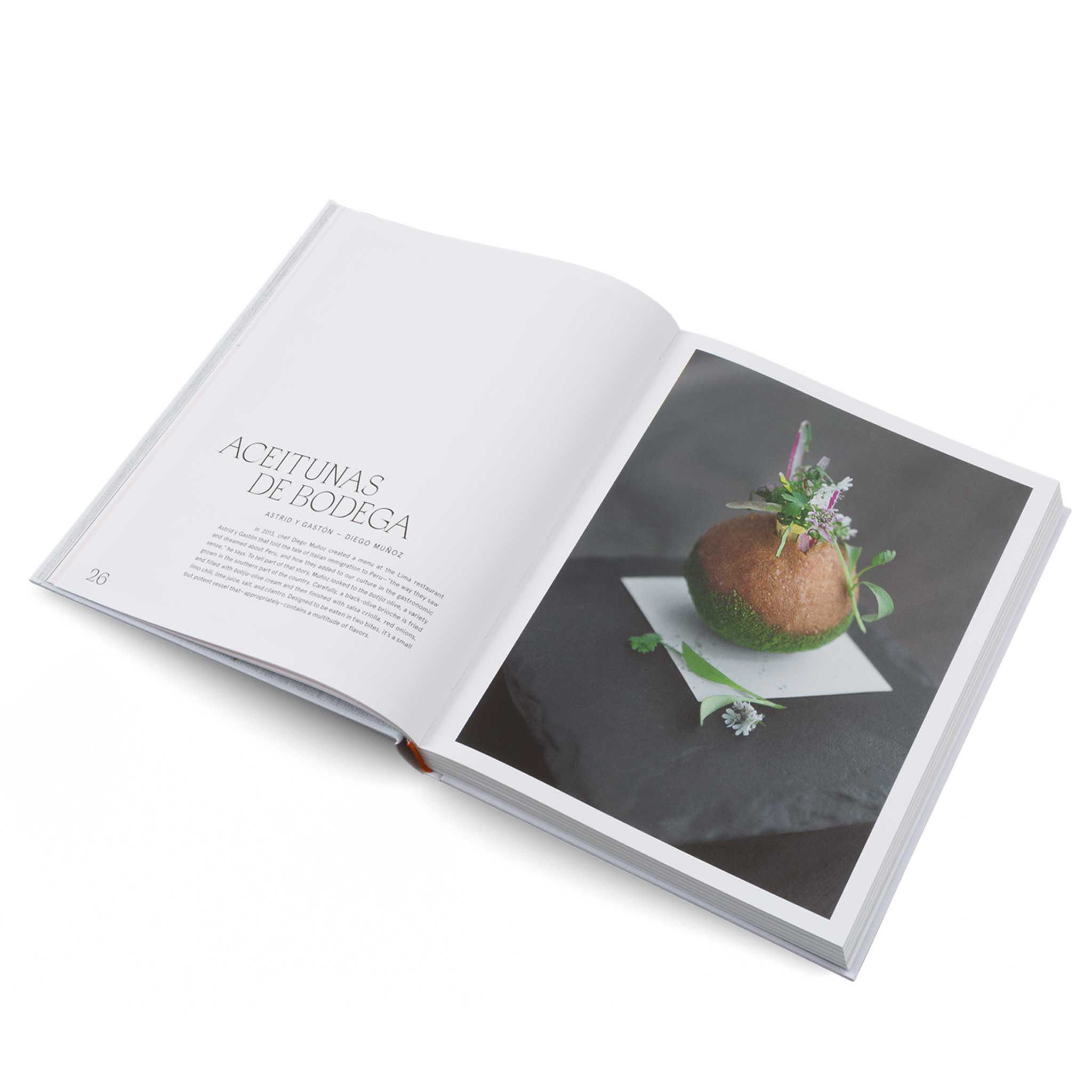 STORY ON A PLATE | The delicate art of plating dishes | BUCH | Gestalten Verlag - Charles & Marie