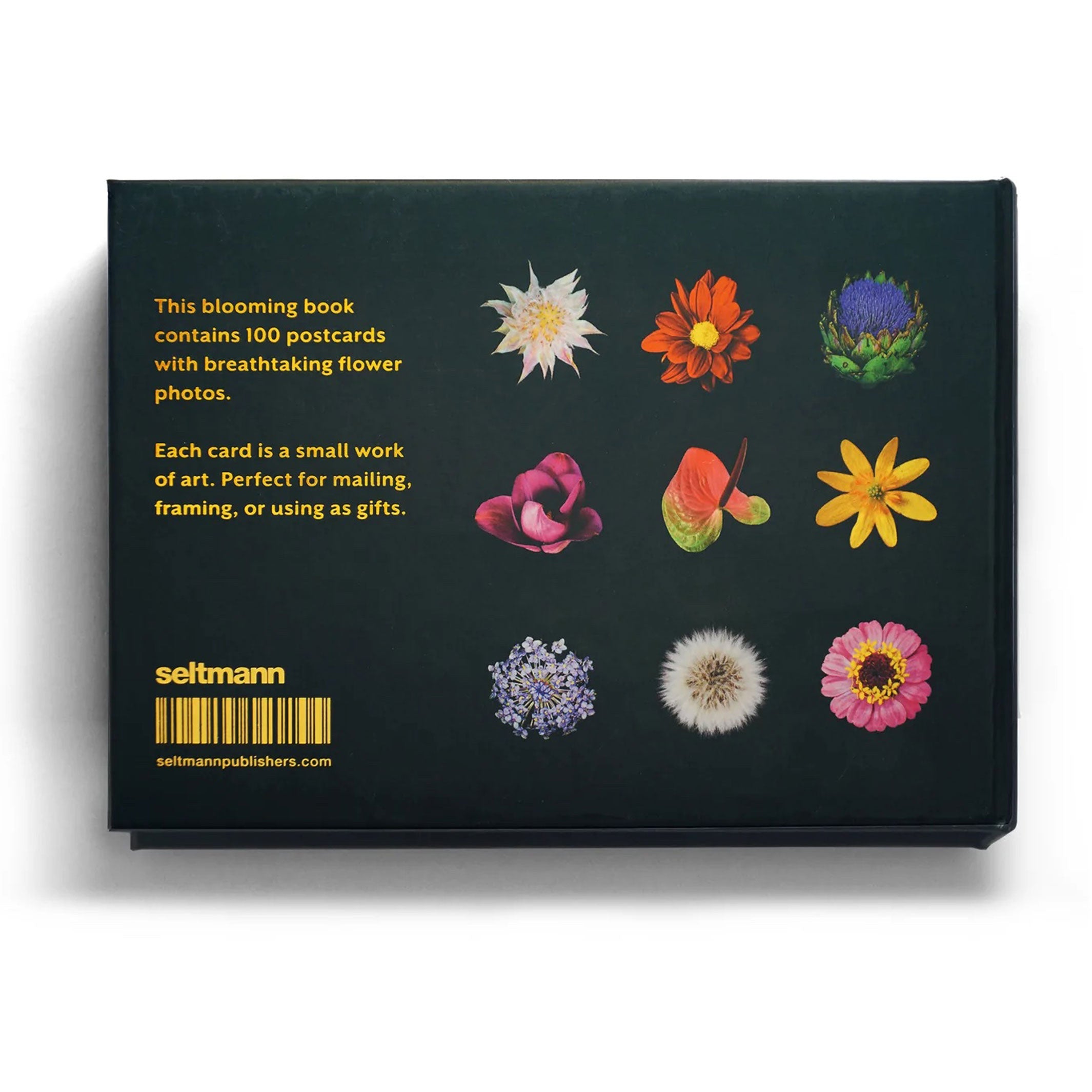 THE BLOOMING BOOK | Flamboyant Flowers | Blumen-Postkarten BUCH | Nicolas Mériel | seltmann+söhne