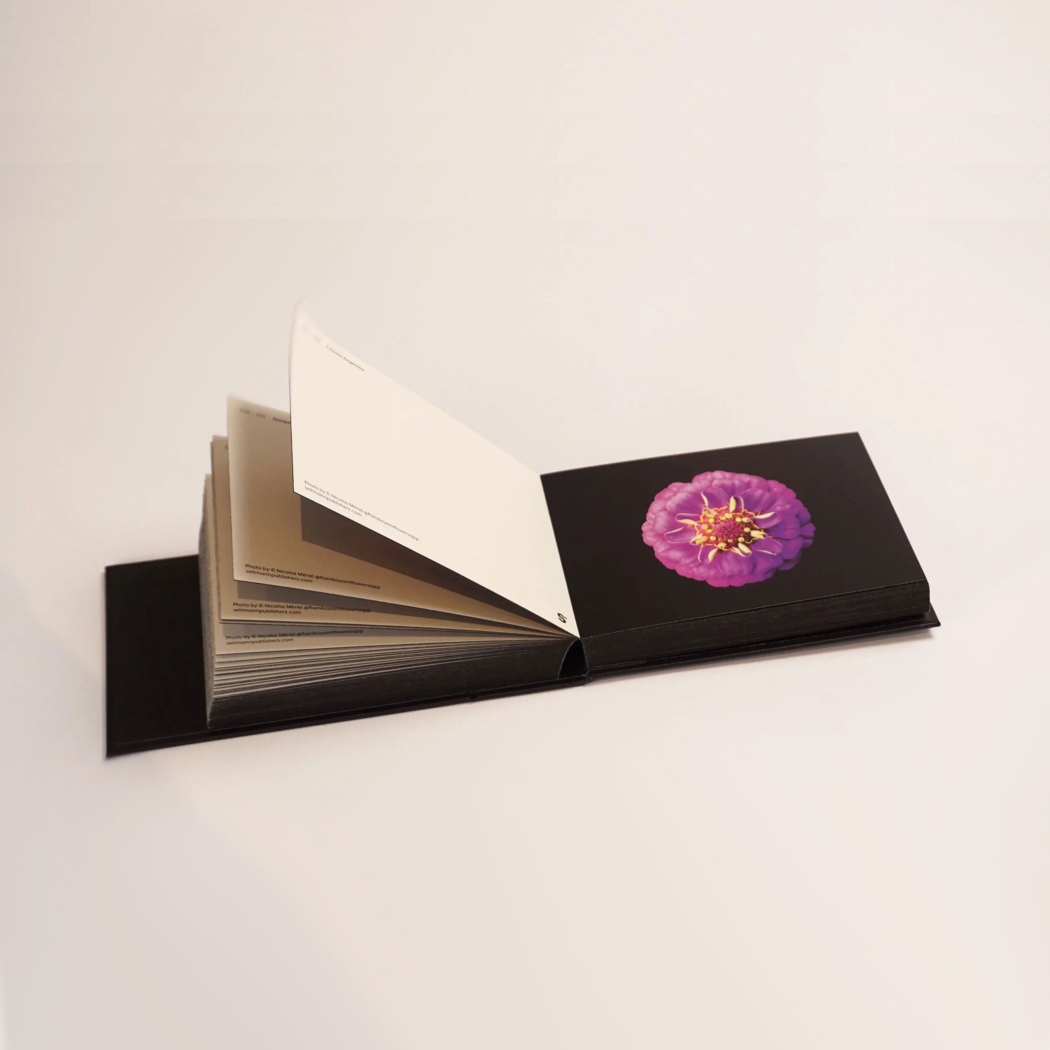 THE BLOOMING BOOK | Flamboyant Flowers | Blumen-Postkarten BUCH | Nicolas Mériel | seltmann+söhne