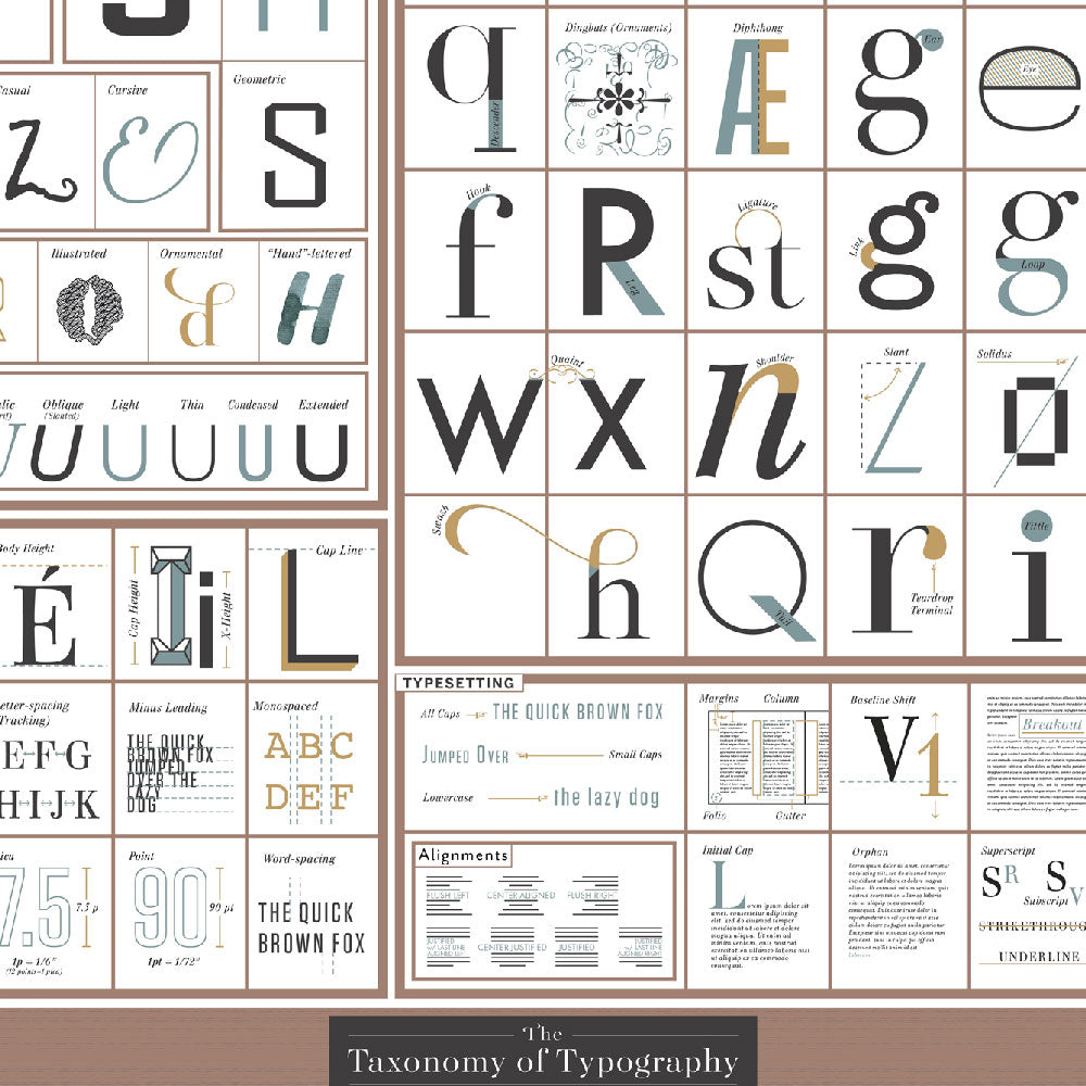 The TAXONOMY of TYPOGRAPHY | Infographic SCHRIFTEN POSTER | 61x46 cm | Pop Chart Lab