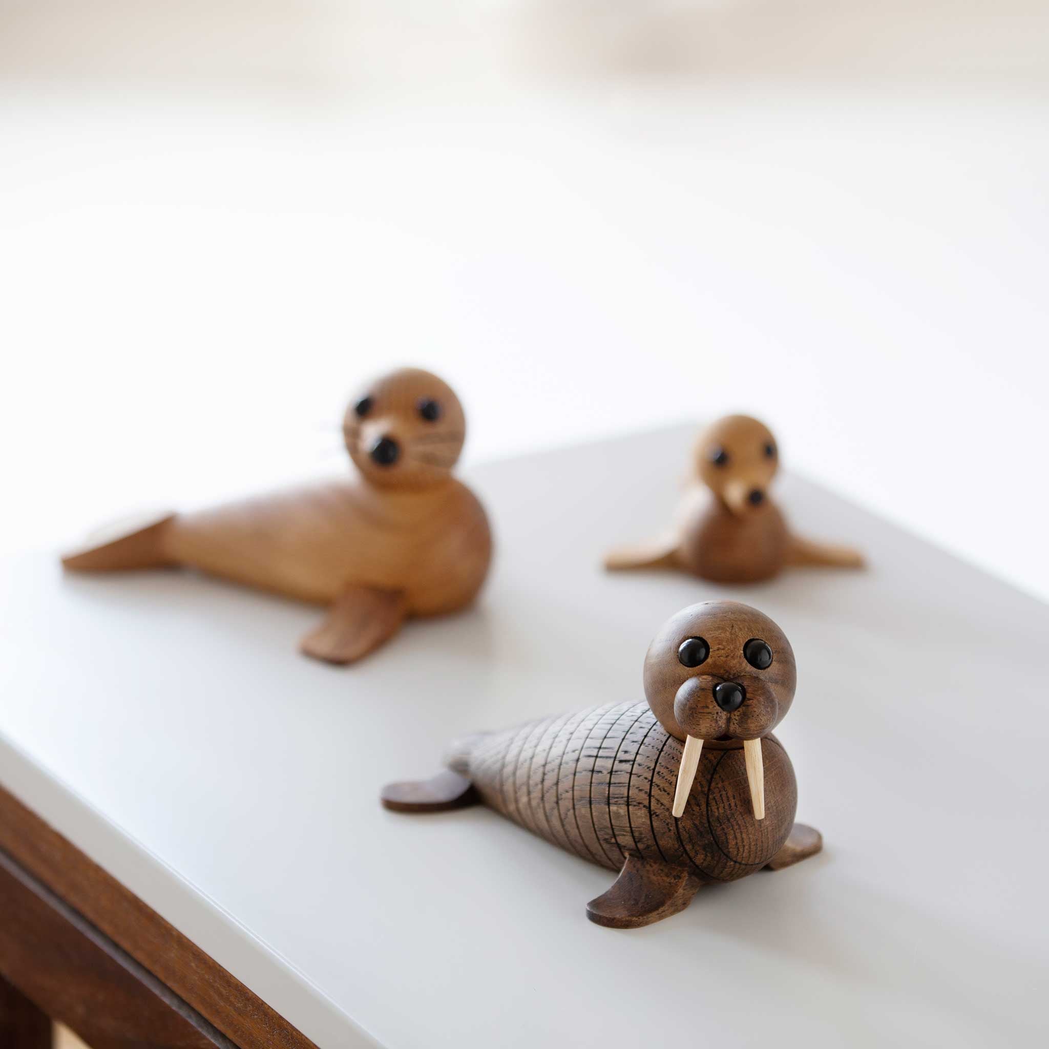 WALLY | WALROSS | Chresten Sommer | Spring Copenhagen