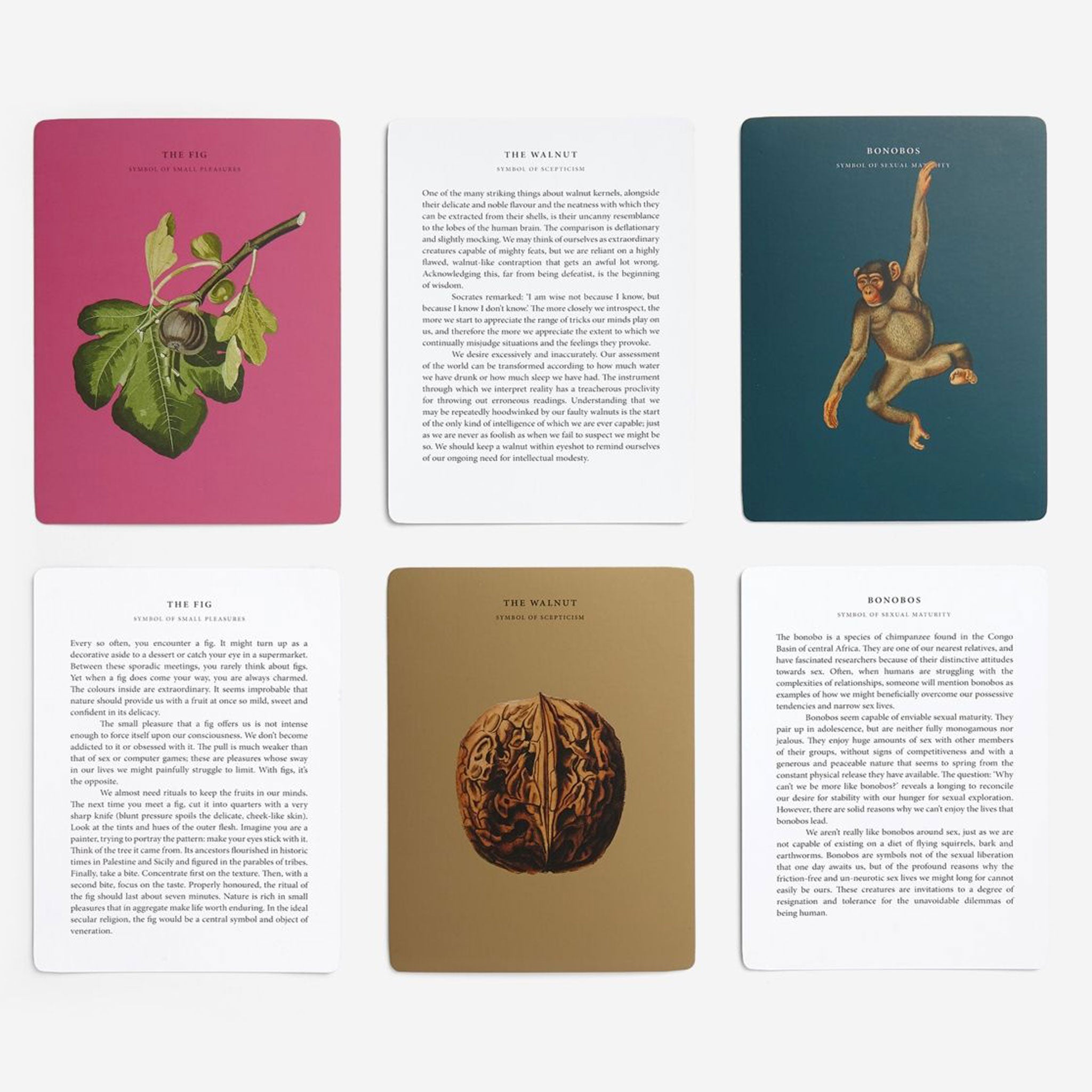 WISDOM OF NATURE | CARD GAME | English Edition | The School of Life