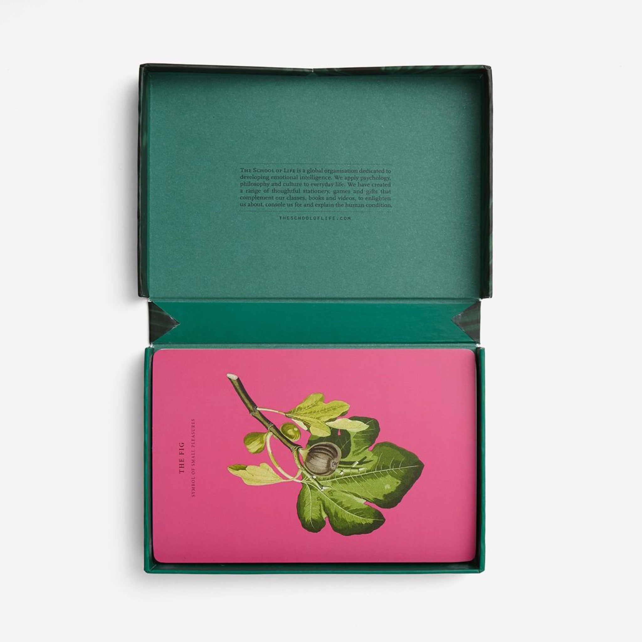 WISDOM OF NATURE | CARD GAME | English Edition | The School of Life