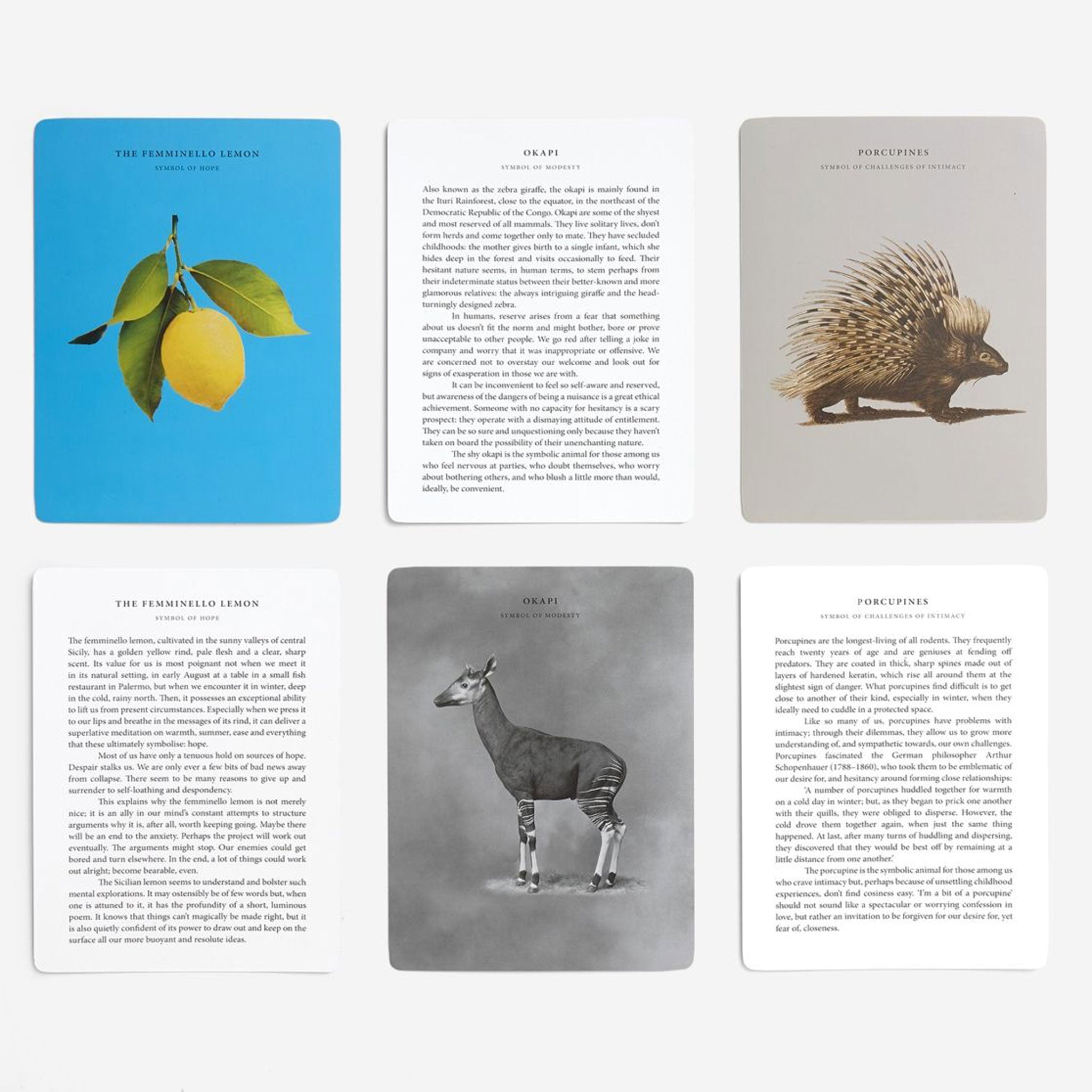 WISDOM OF NATURE | CARD GAME | English Edition | The School of Life