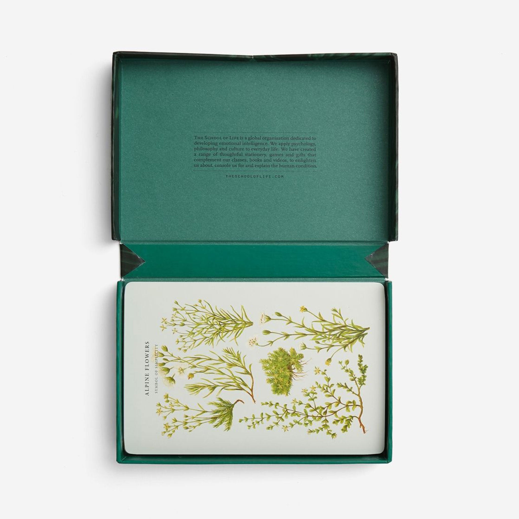 WISDOM OF NATURE | CARD GAME | English Edition | The School of Life