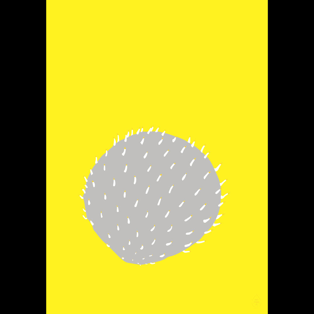 GELBER KAKTUS | POSTER | Camilla Hjerl