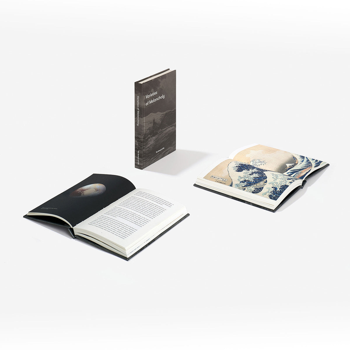 Book "Varieties of Melancholy" – Hardcover | The School of Life