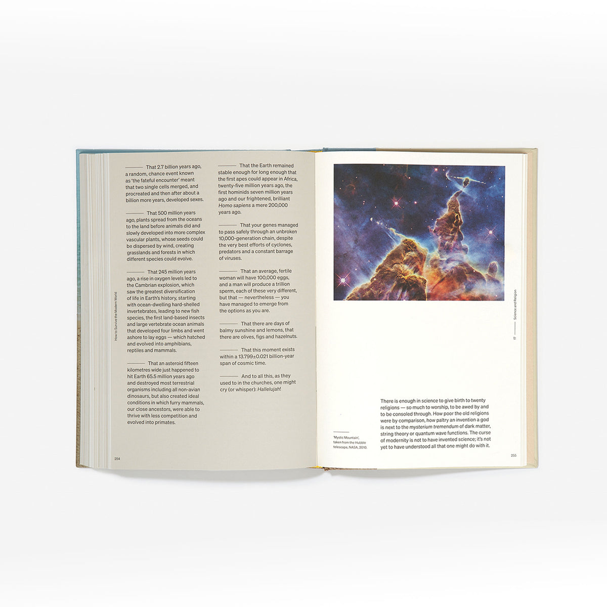 Buch "How to Survive the Modern World" – Englisch | The School of Life
