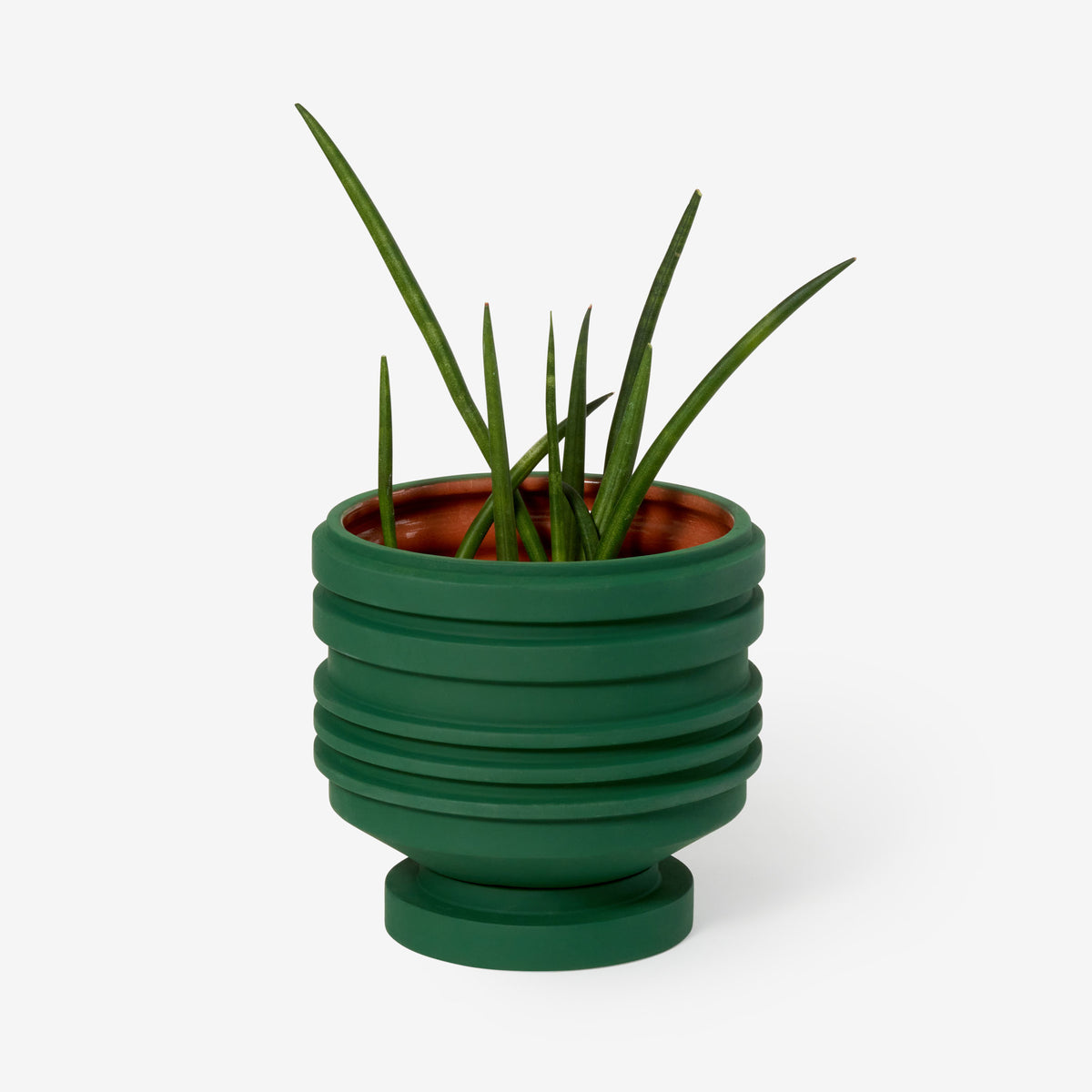 STRATA PLANT VESSEL - MACETA & RECIPIENTE PARA PLANTAS verde | Simone Brewster | Areaware