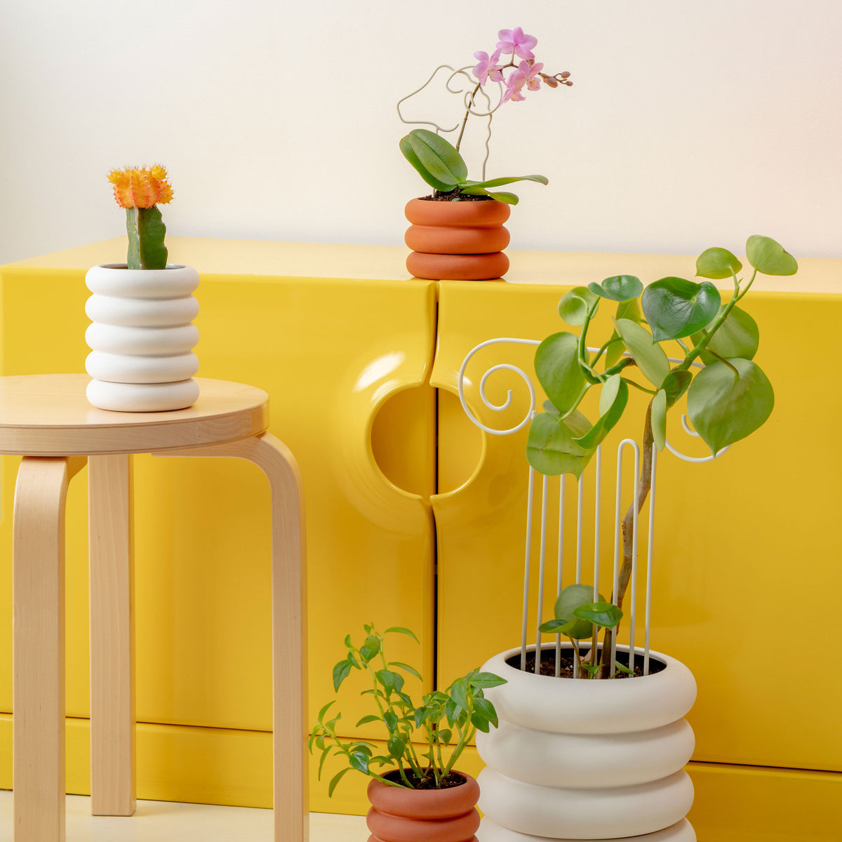 TREILLIS VÉGÉTAL | PLANTER DES ARBRES | Chen Chen et Kai Williams | Sont conscients