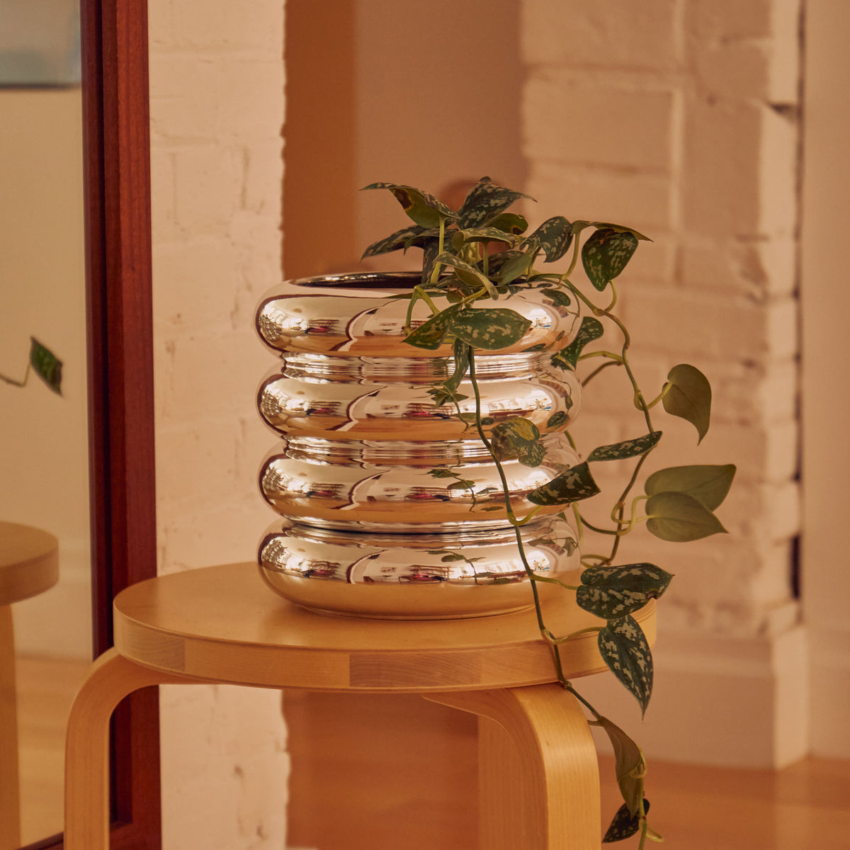 JARDINIÈRE EMPILABLE CHROME | grand NAVIRE DE FLEURS | Chen Chen et K. William | Sont conscients