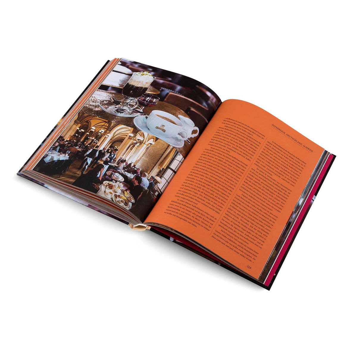LE TOUR DU MONDE EN 80 CAFÉS | LIVRE | Lani Kingston | Allemand | Maison d'édition de design