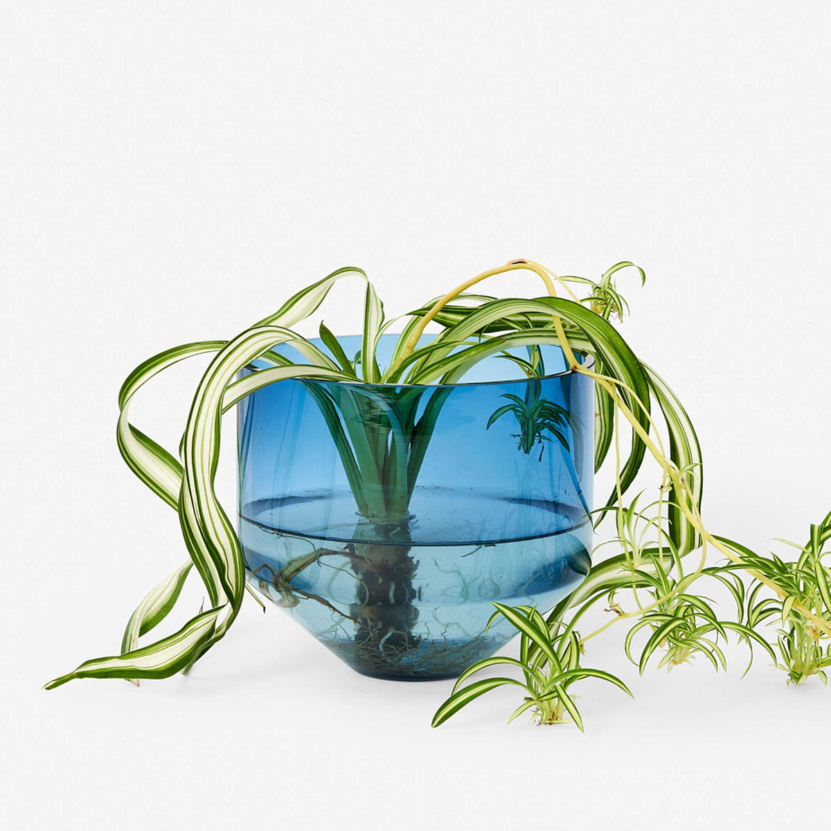 JARDINIÈRE MODÈLE TROIS | POT DE FLEUR ET JARDINIÈRE | D=15 cm | Sam Bigio | Sont conscients