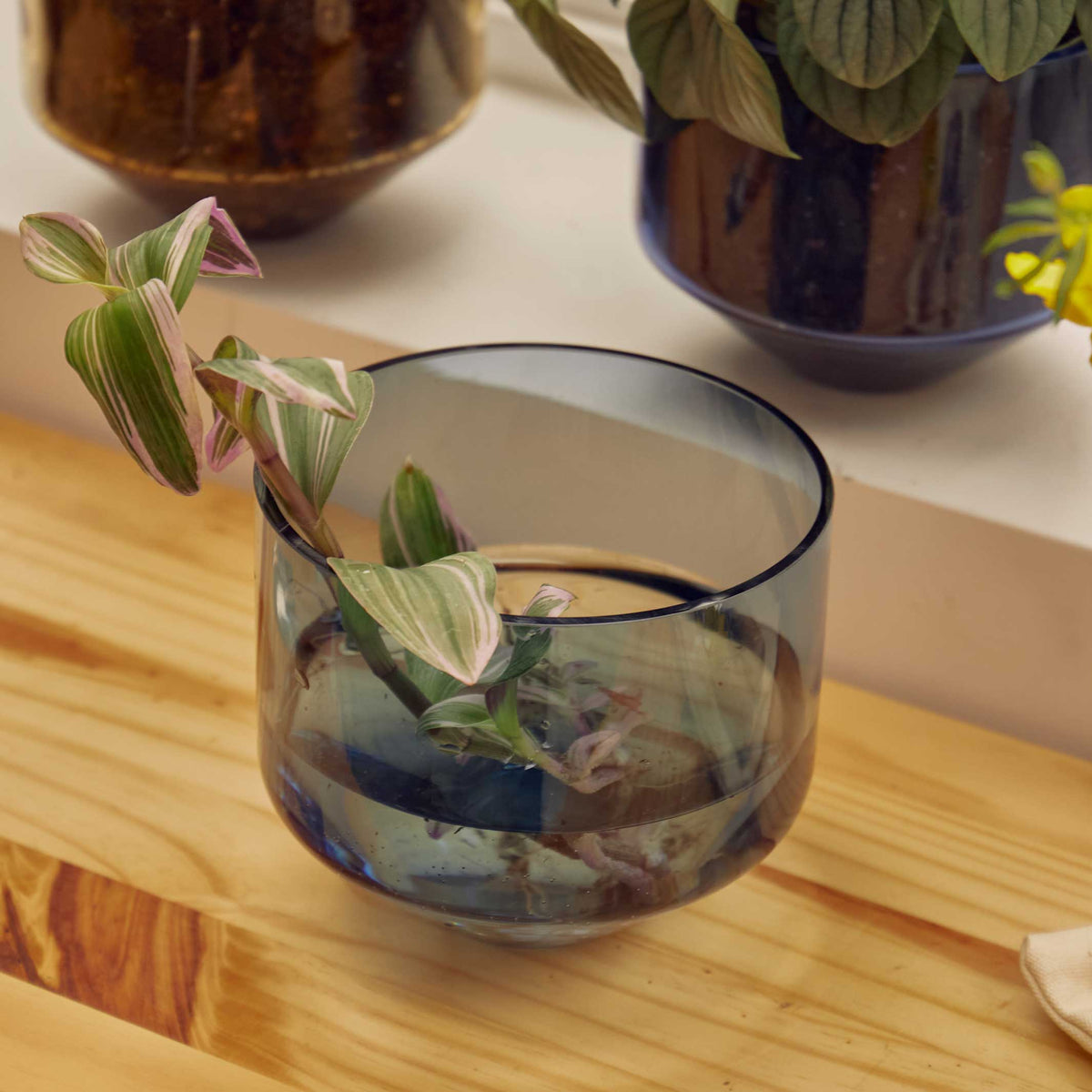 JARDINIÈRE MODÈLE TROIS | POT DE FLEUR ET JARDINIÈRE | D=15 cm | Sam Bigio | Sont conscients