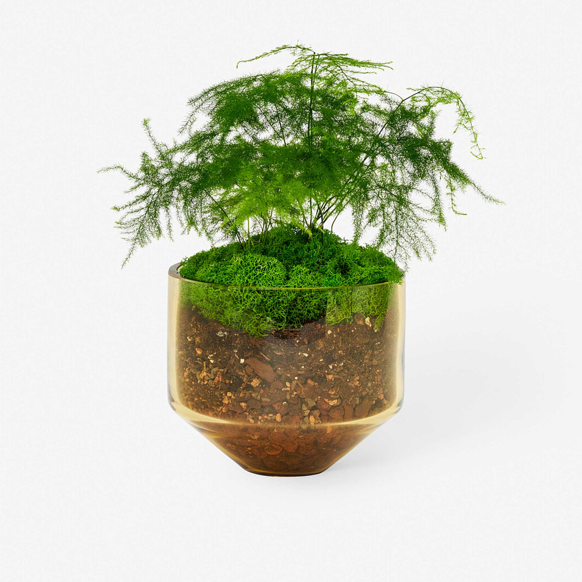 JARDINIÈRE MODÈLE TROIS | POT DE FLEUR ET JARDINIÈRE | D=15 cm | Sam Bigio | Sont conscients