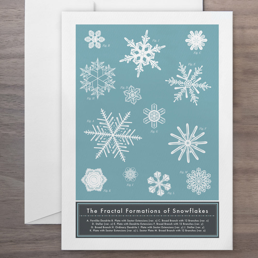 The FRACTAL FORMATIONS of SNOWFLAKES | GRUßKARTE | Pop Chart Lab