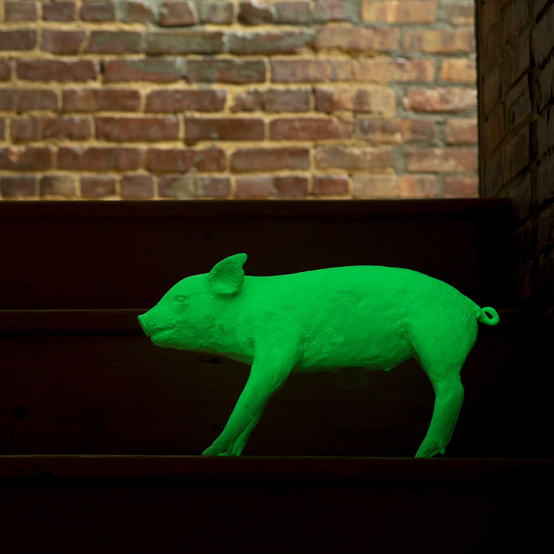BANK in form of a PIG - huge Piggybank | Harry Allen | Areaware