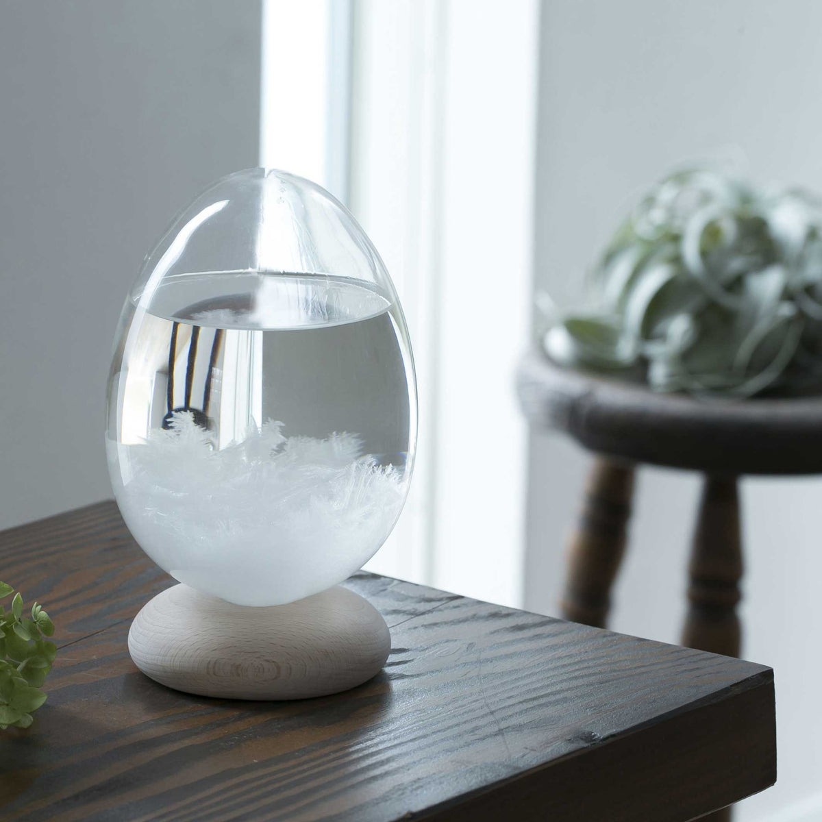 Sturmglas "Tempo Pulse" – Glas · Klar · 17 cm | 100percent