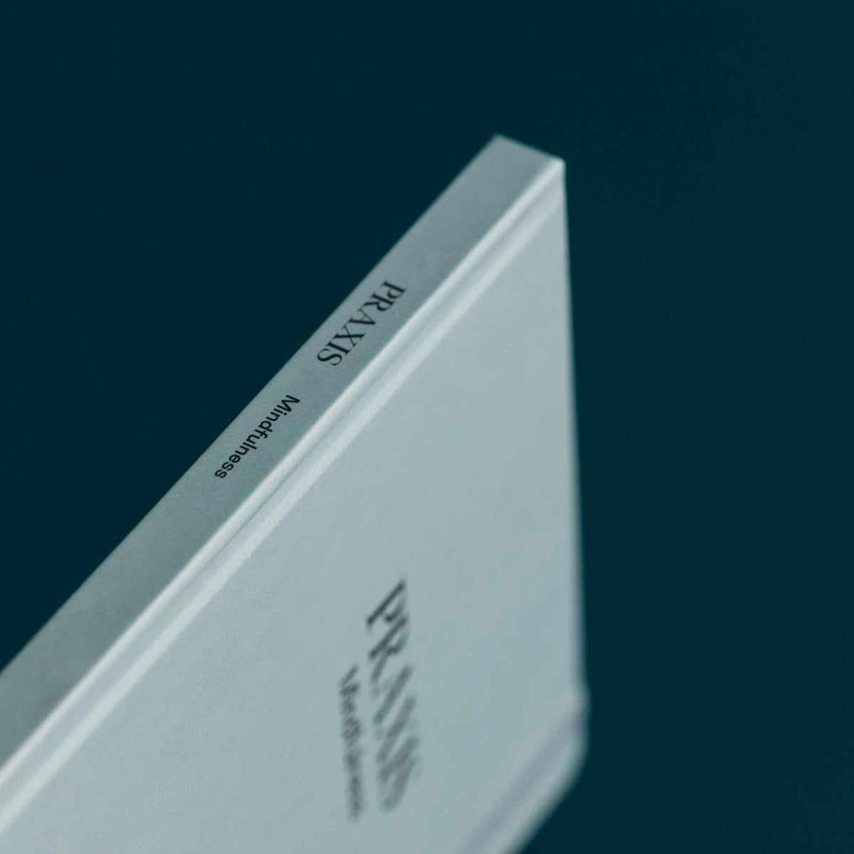 PRAXIS MINDFULNESS™️ - englisches TAGEBUCH - Achtsamkeit | KarstGoods