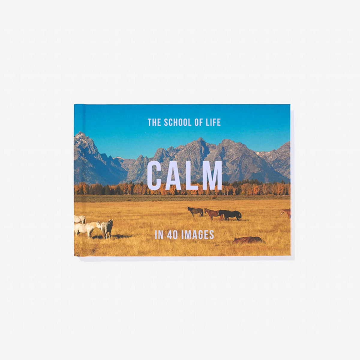 Book "Calm in 40 Images" – Hardcover | The School of Life