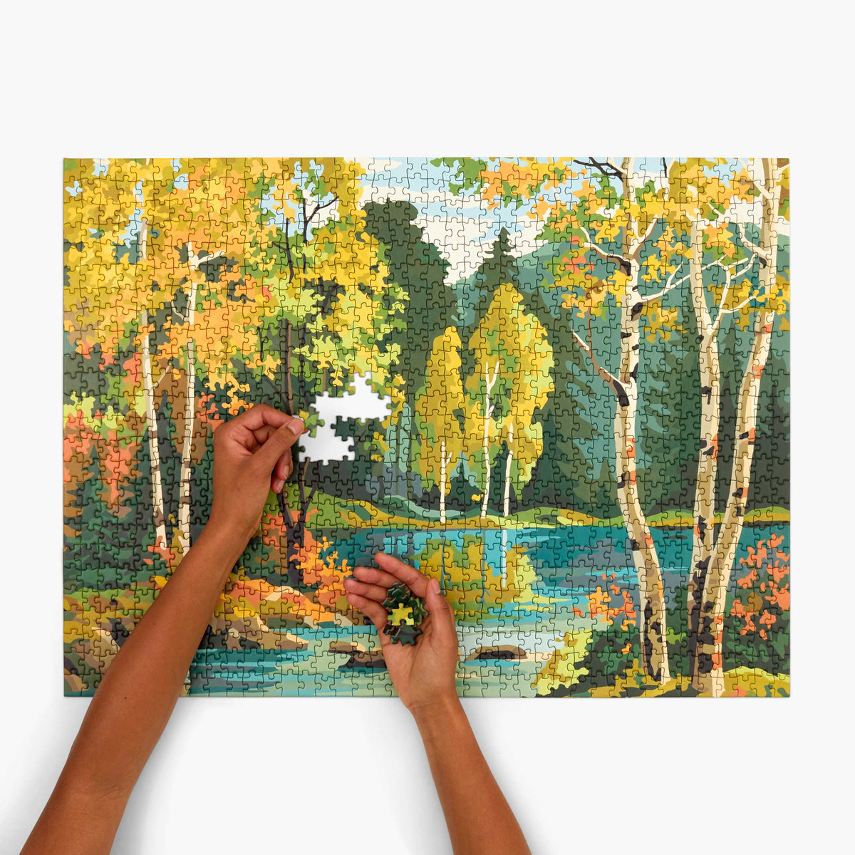 FOREST - Pintura por números vintage - Rompecabezas 1.000 piezas | parkside