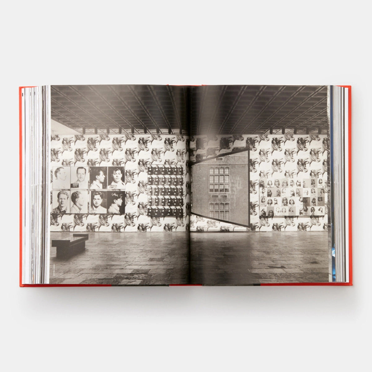 ANDY WARHOL: "GIANT" SIZE - Book | Dave Hickey | PHAIDON Verlag