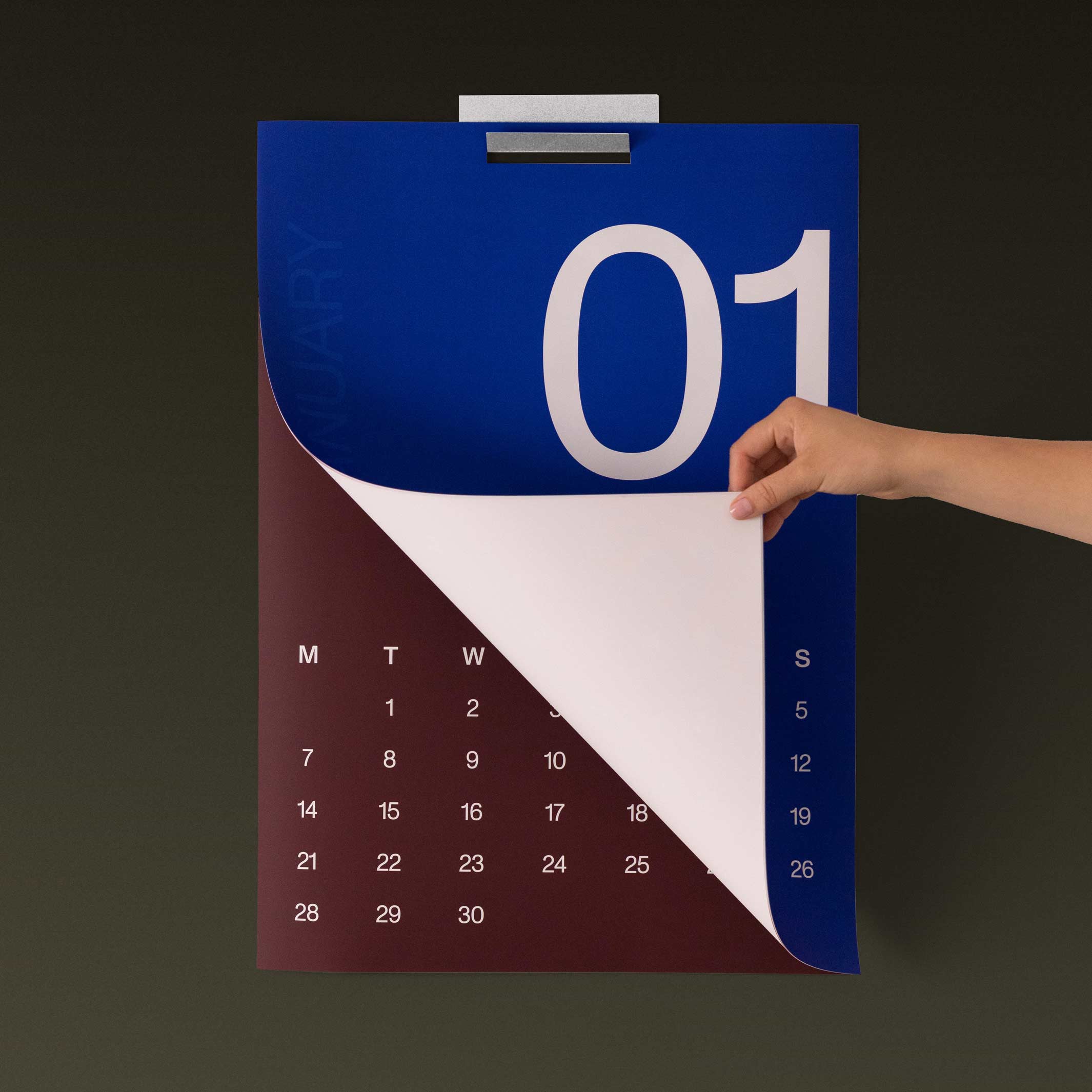 2026 MONTHLY WALL CALENDAR - Multicolor Monthly Wall Calendar - 42x60 cm format A2 | KarstGoods