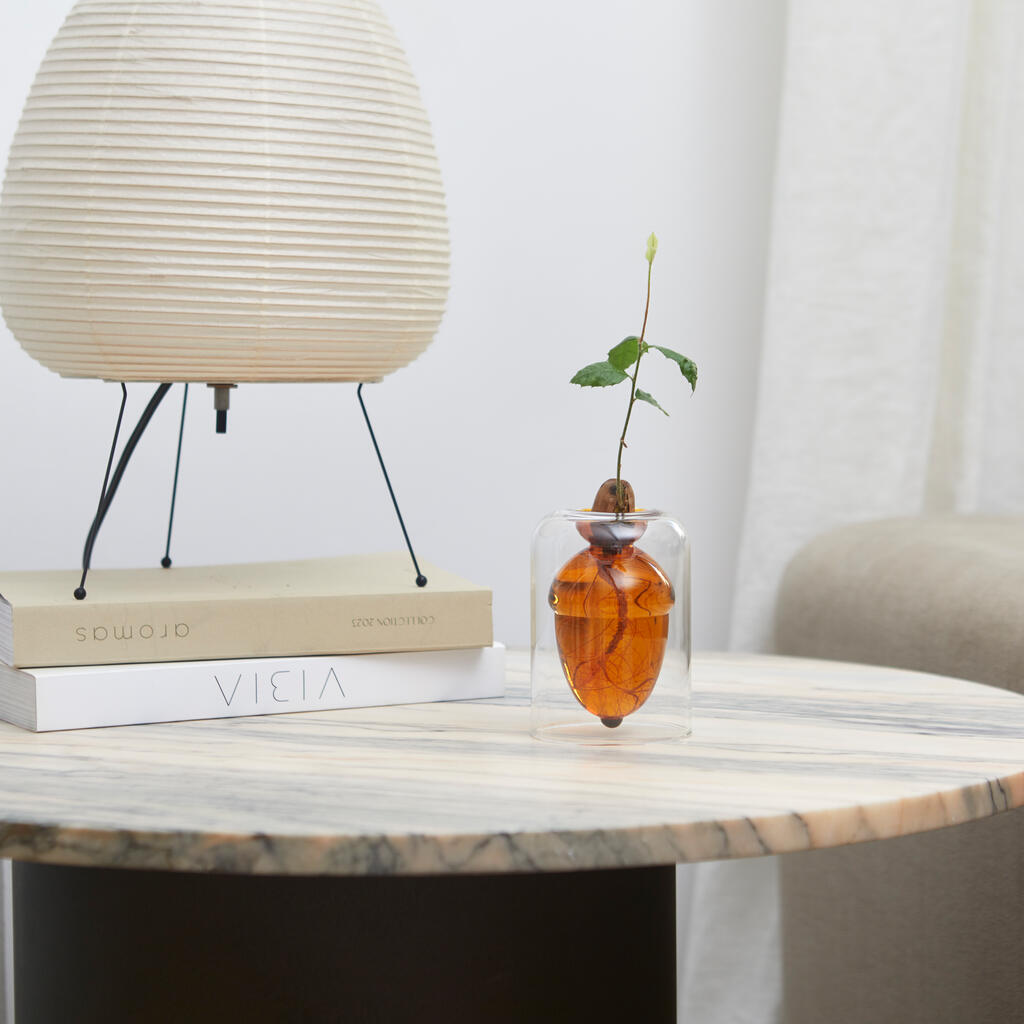 ACORN VASE - doppelwandiges Keimglas mit Eichel - H=12 cm | BALVI