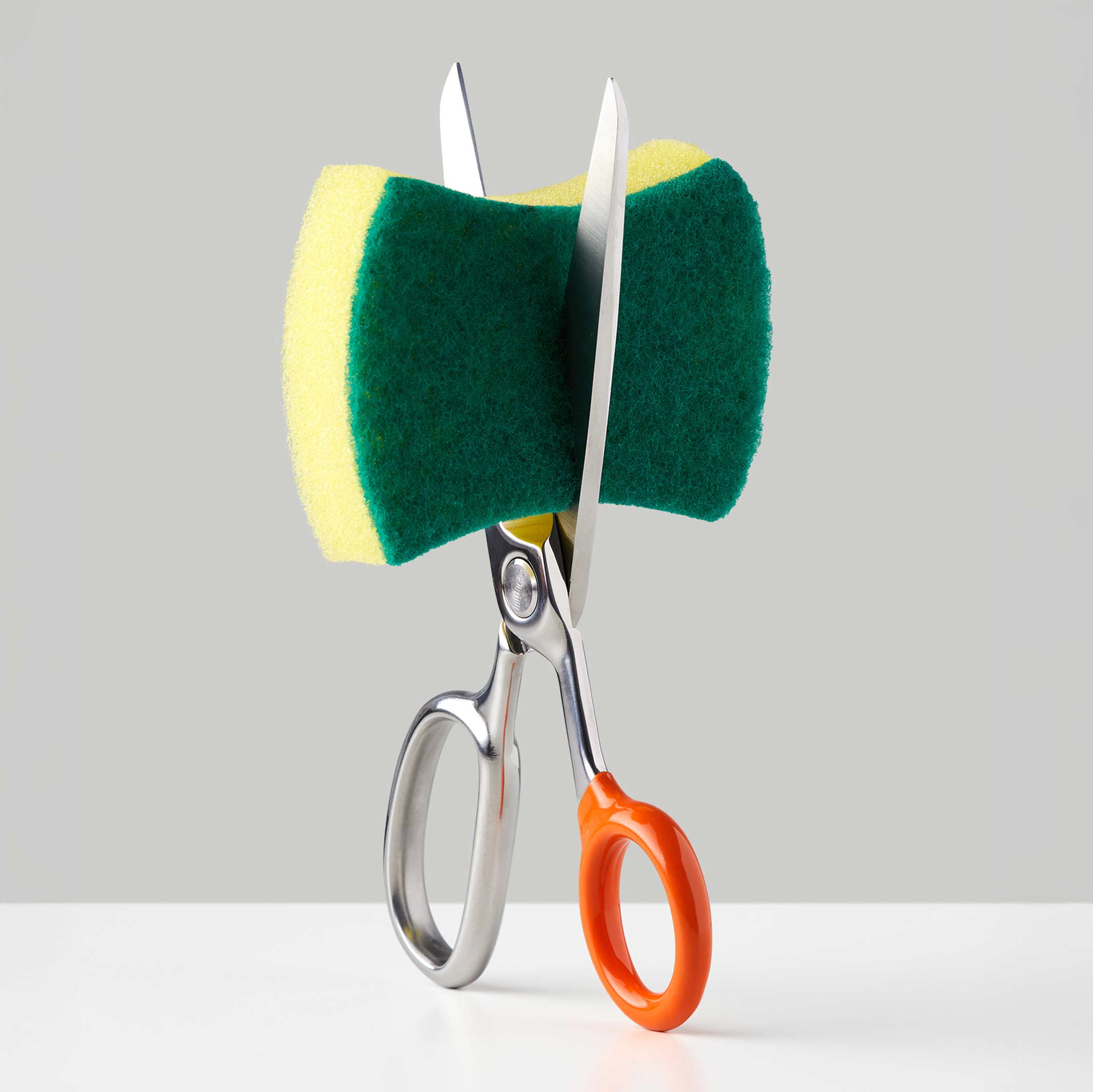 CHROMA SCISSOR - Stainless Steel Scissors | Craighill