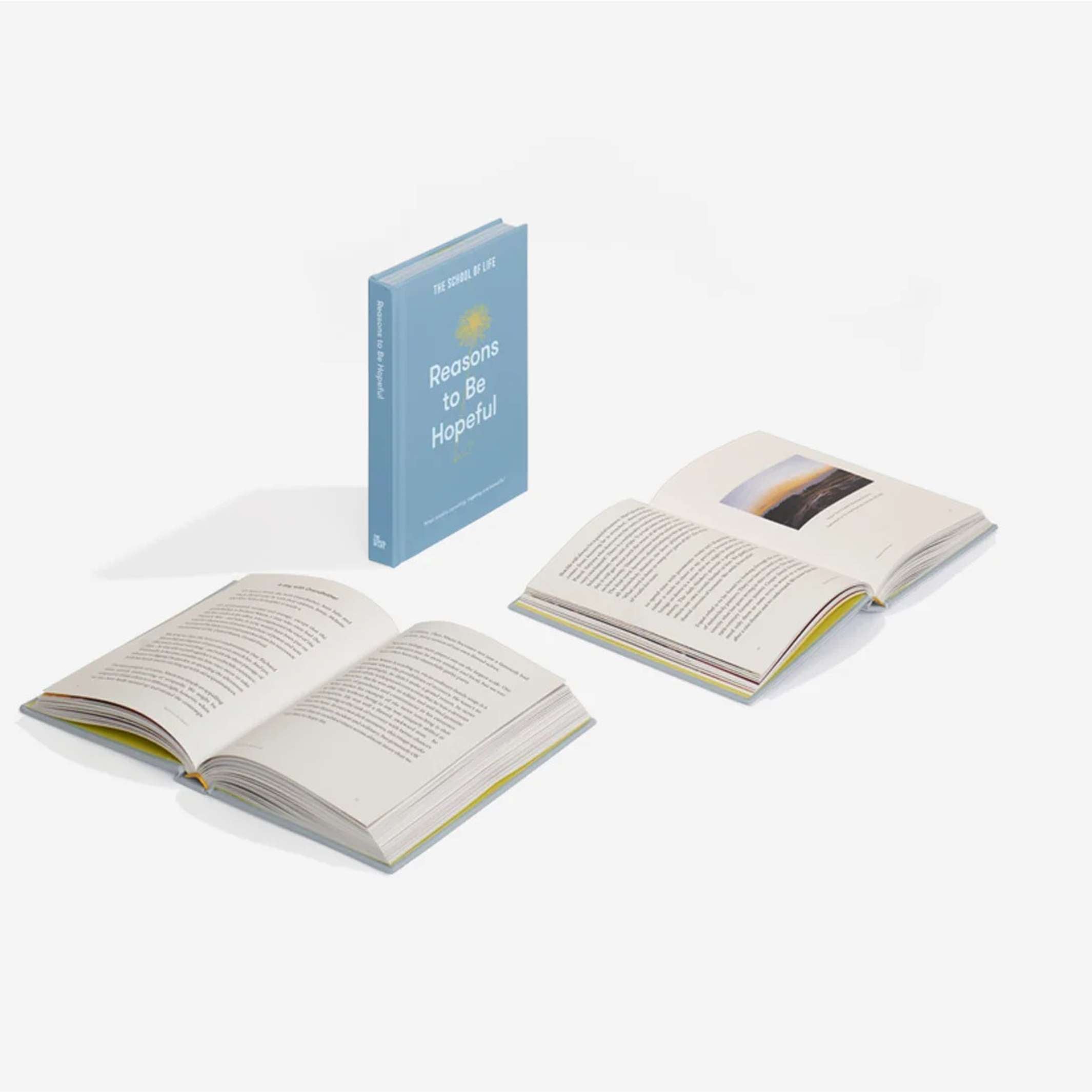 Book "Reasons to Be Hopeful" – Hardcover | The School of Life