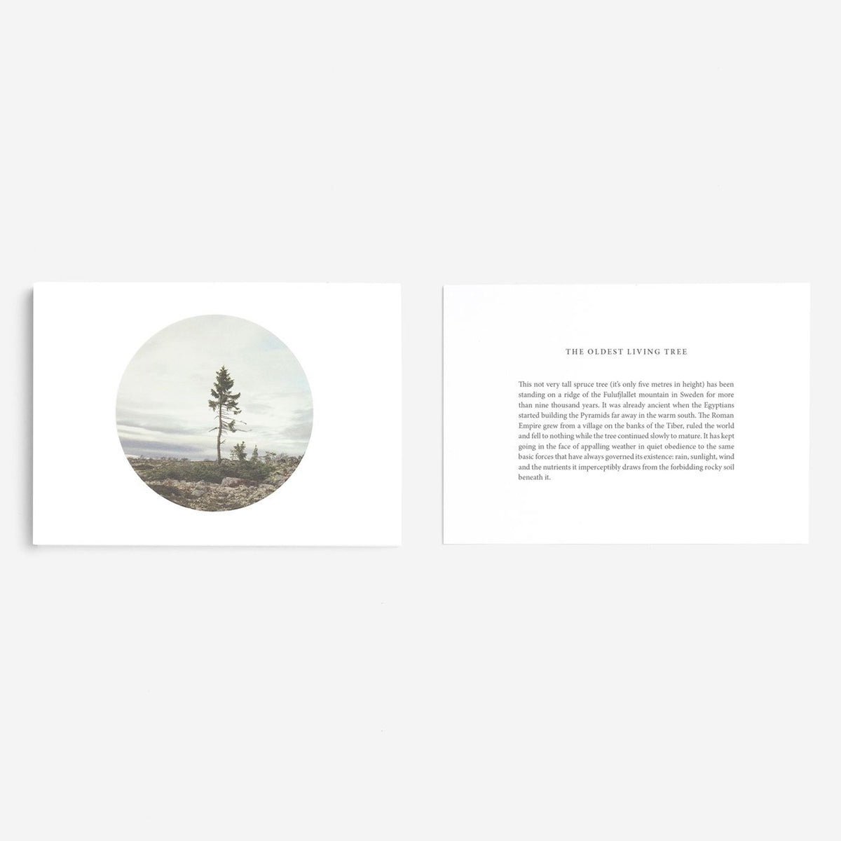CARDS FOR PERSPECTIVE | ENSEMBLE DE 20 CARTES | Édition anglaise | The School of Life