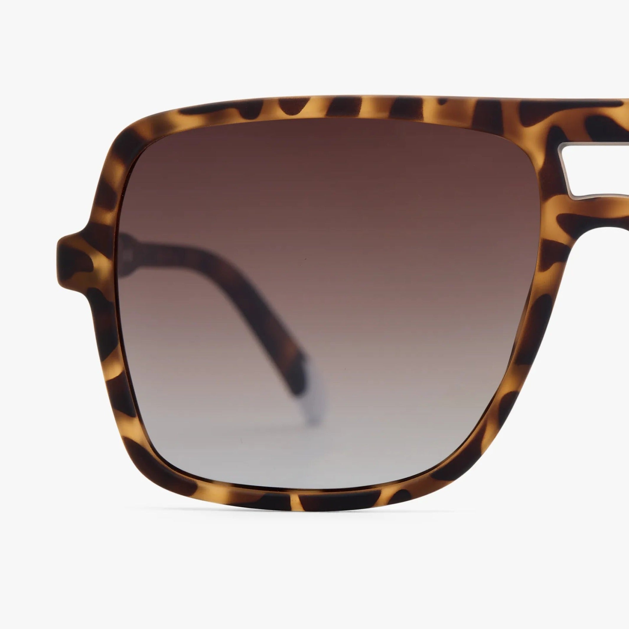 Sonnenbrille Jake – Havanna · polarisiert | Barner