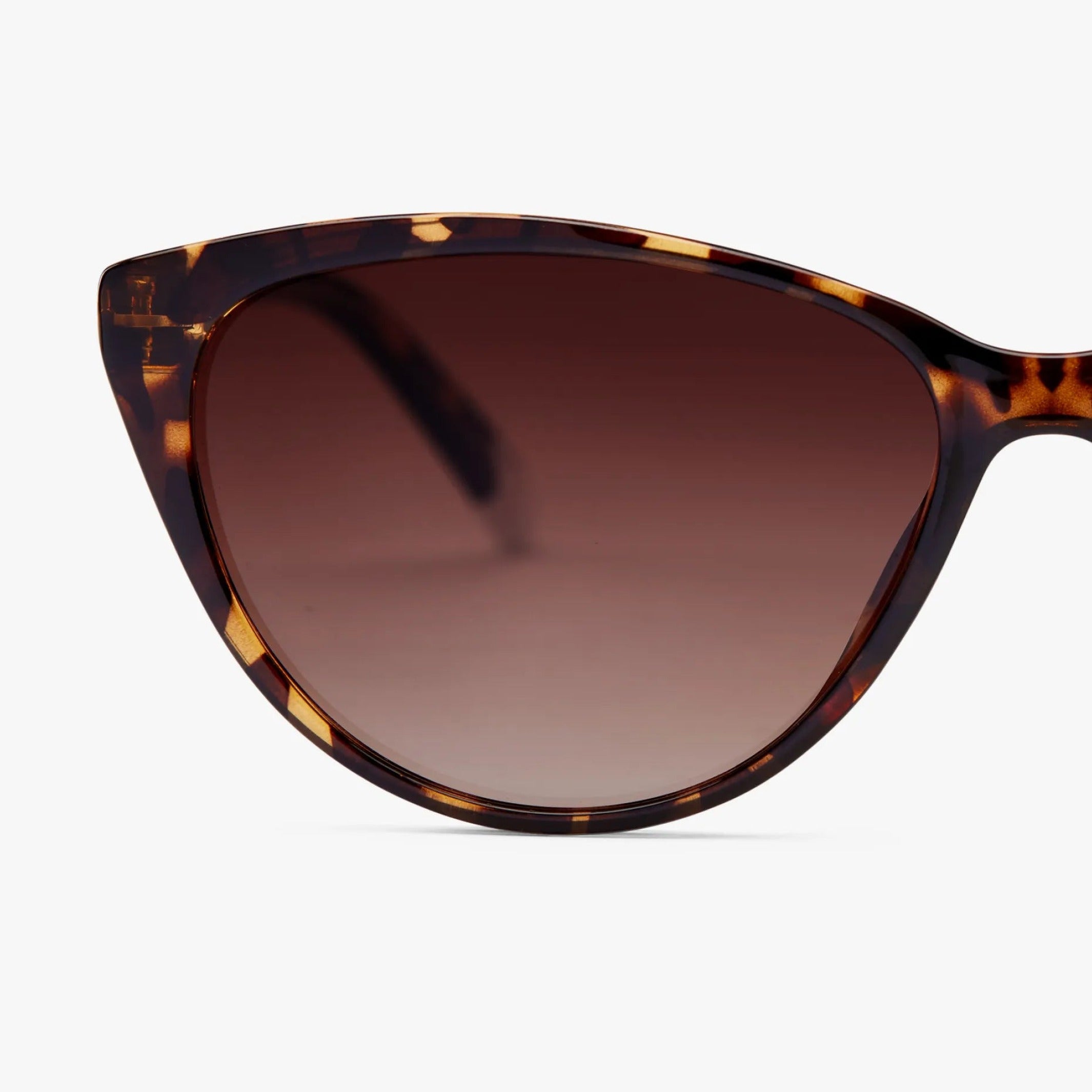 Sonnenbrille Astoria – Havanna · polarisiert | Barner