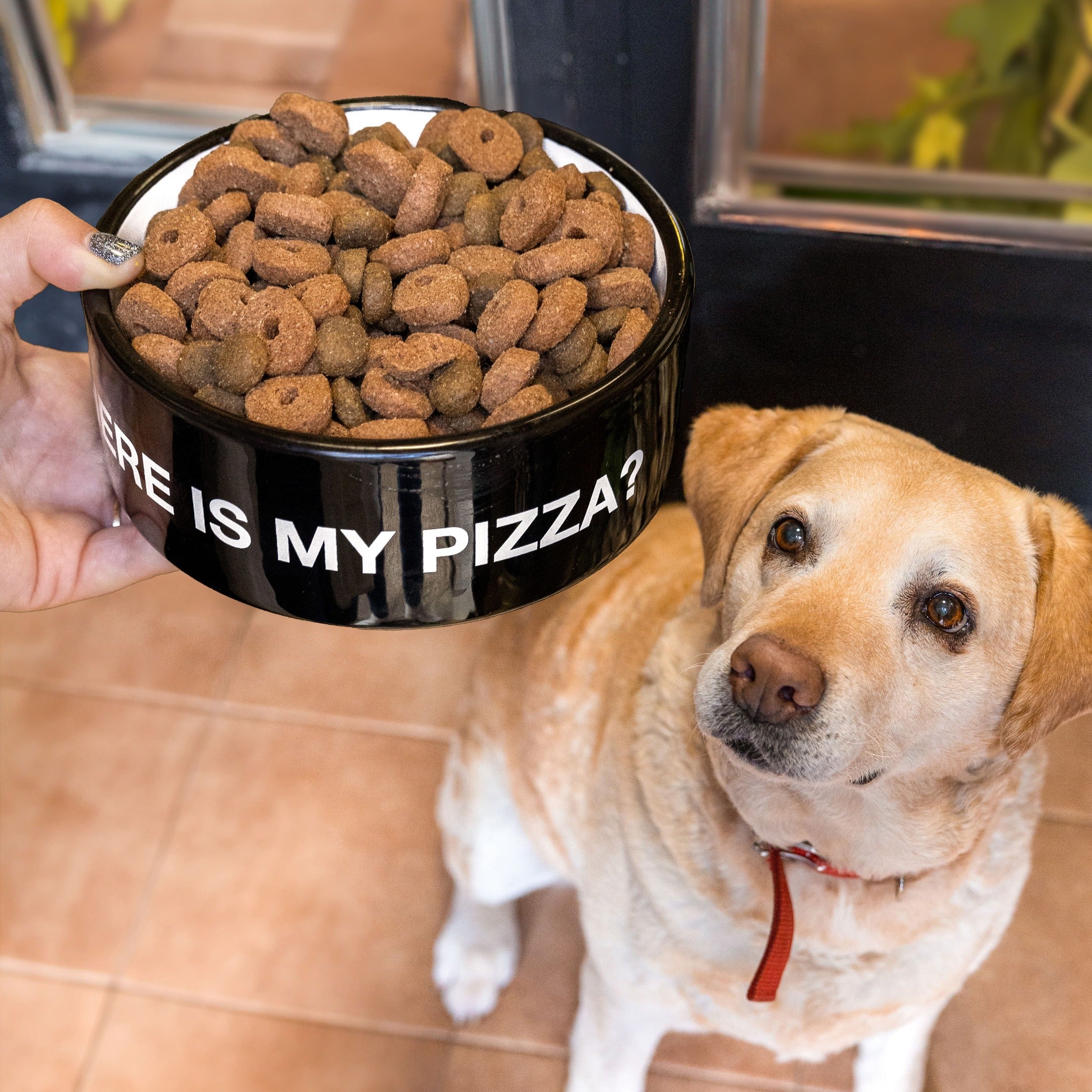 Hundenapf "Where is my pizza?" – Keramik · Ø 16 cm · 750 ml | Fisura