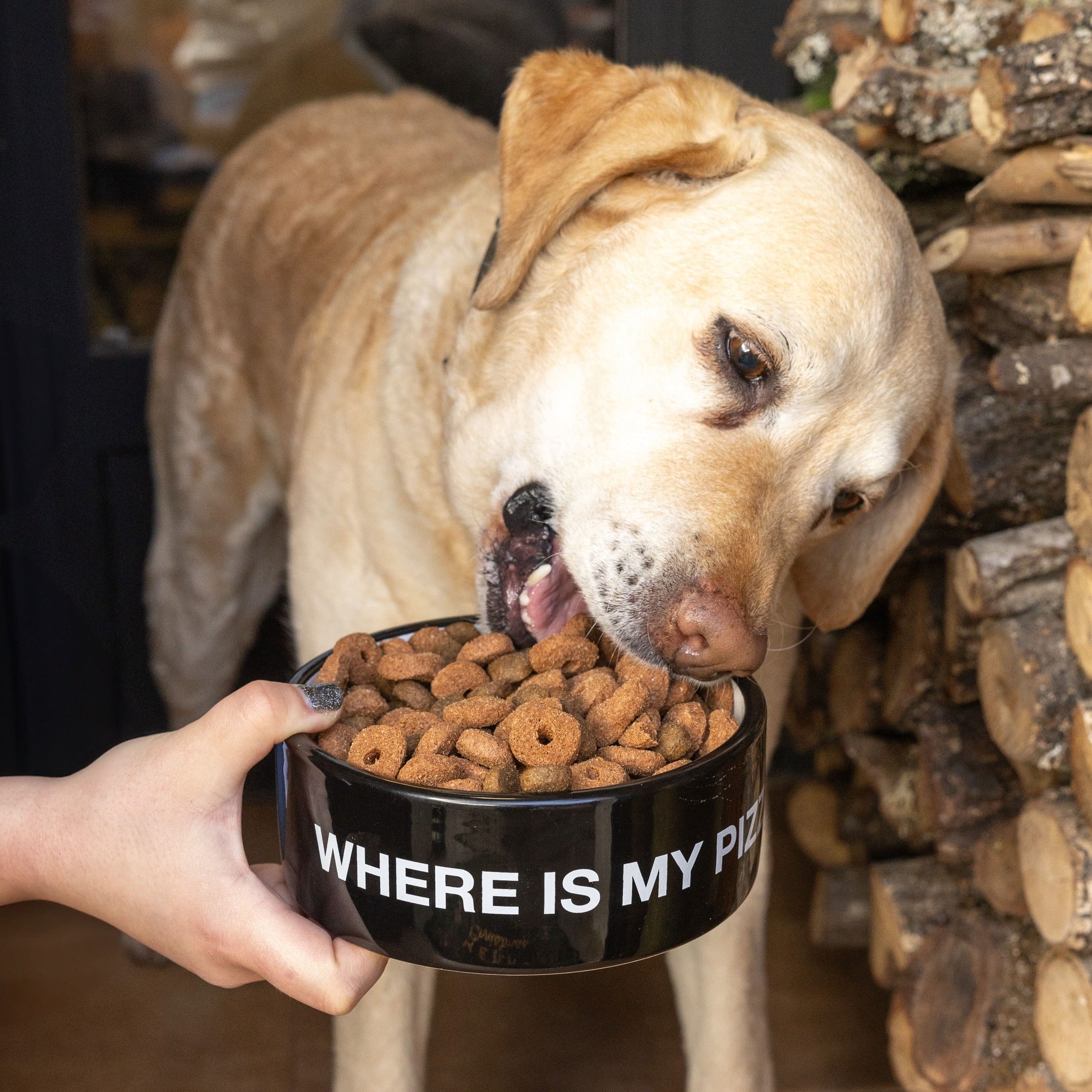 Hundenapf "Where is my pizza?" – Keramik · Ø 16 cm · 750 ml | Fisura