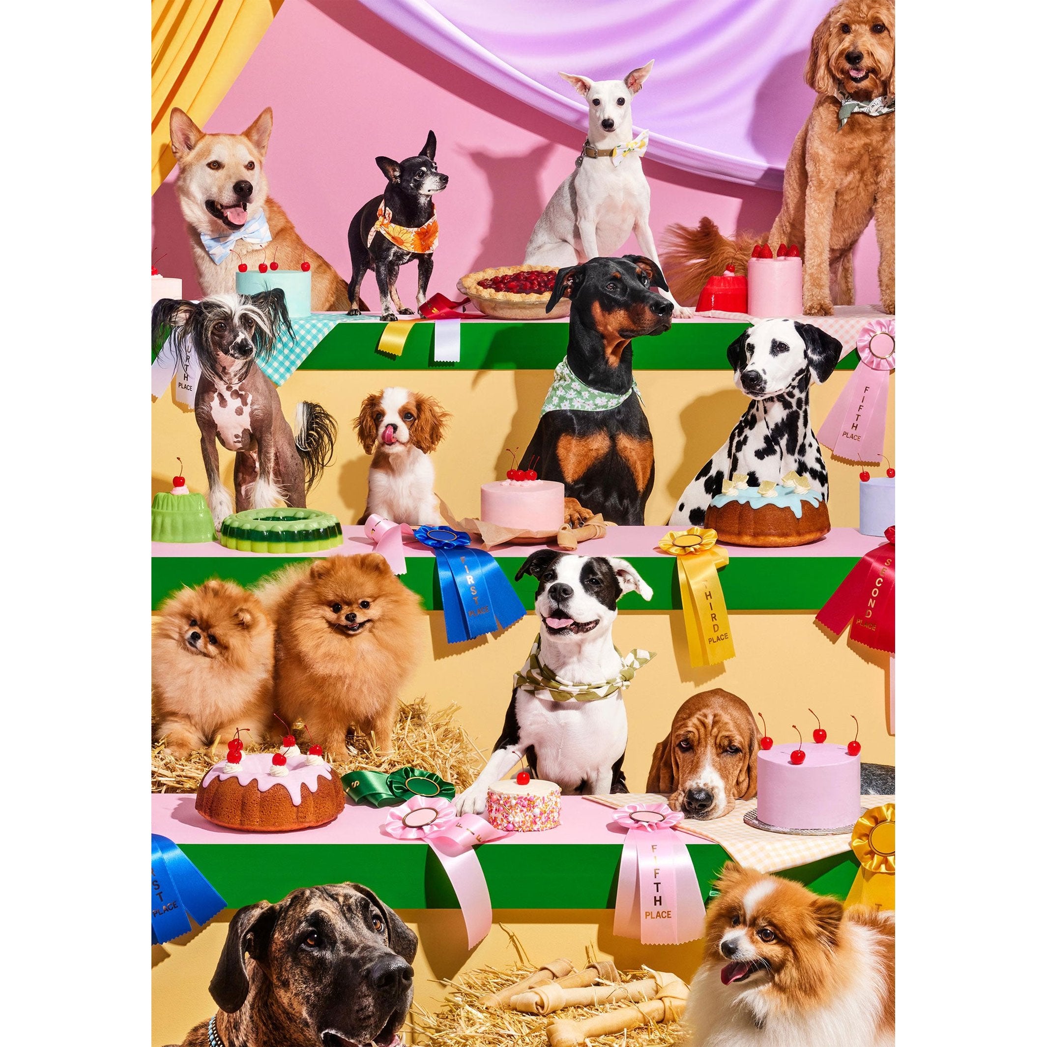 Hunde-Puzzle "Top Dog" – 1000 Teile · 49 × 68 cm | Piecework