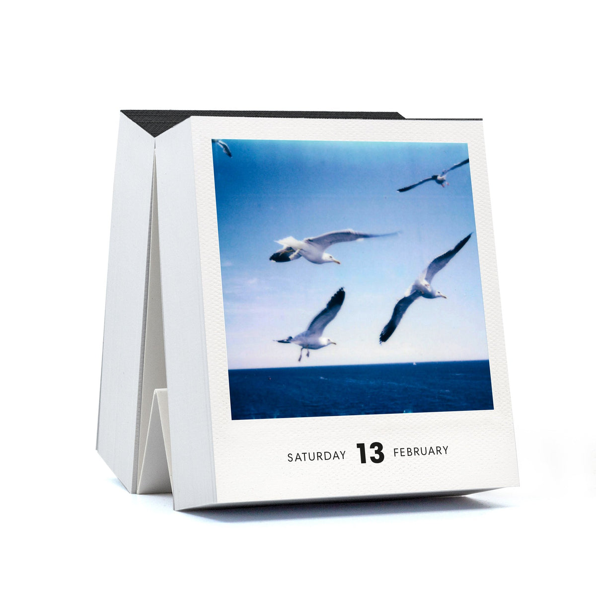 Polaroid-Kalender Photodarium 2027 – 365 Sofortbilder | seltmann+söhne