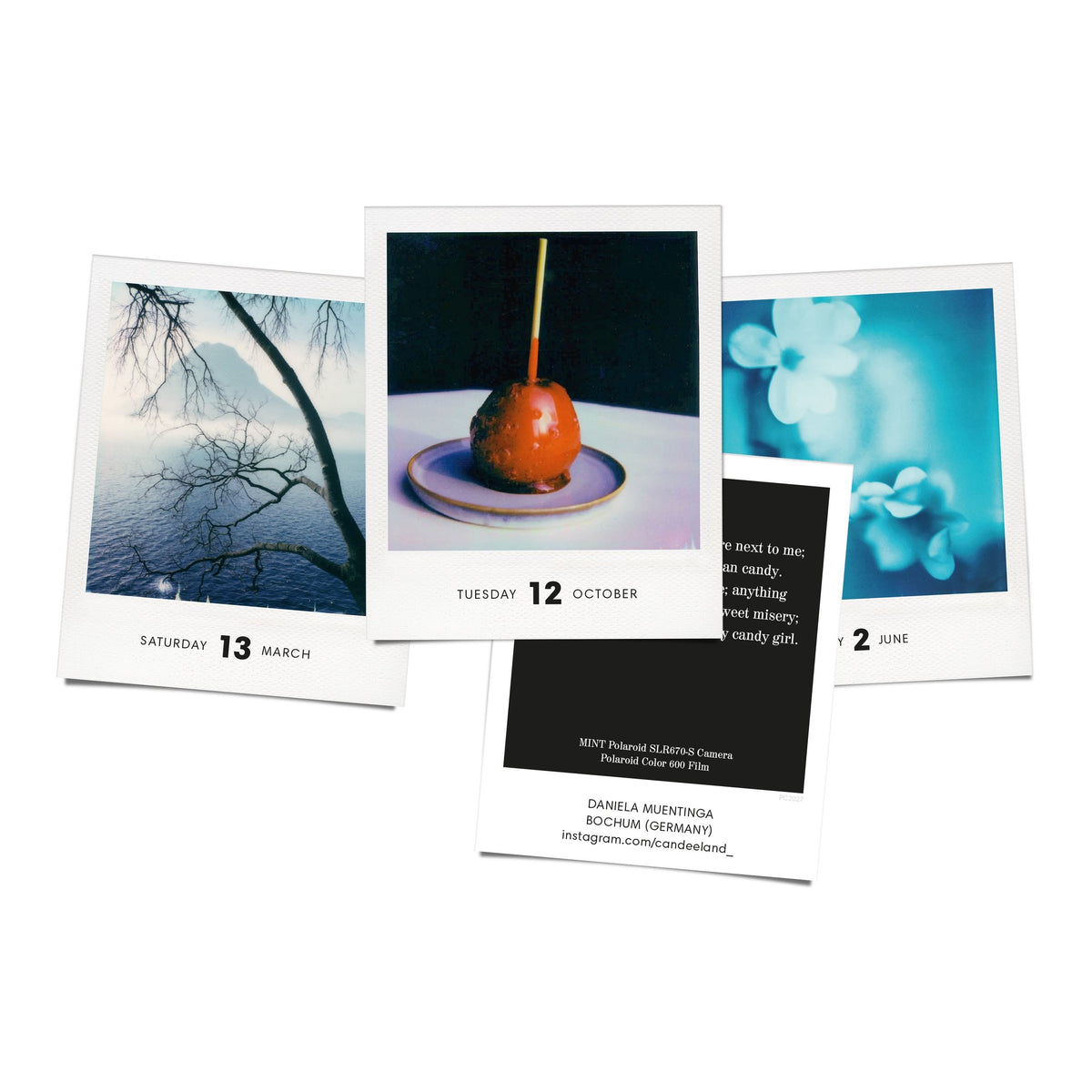 Polaroid-Kalender Photodarium 2027 – 365 Sofortbilder | seltmann+söhne