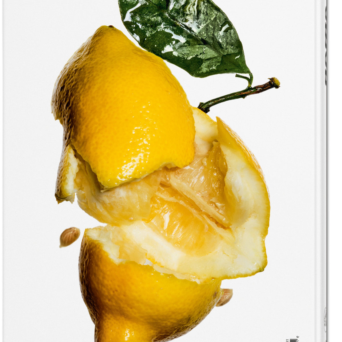 Kochbuch "The Gourmand's Lemon" – Hardcover · 60 Rezepte | Taschen