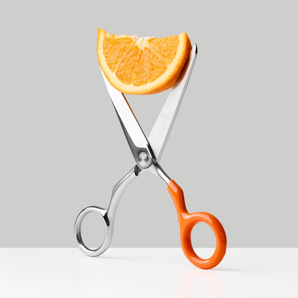Design Scissors Spectra – Stainless Steel · 16.8 cm | Craighill