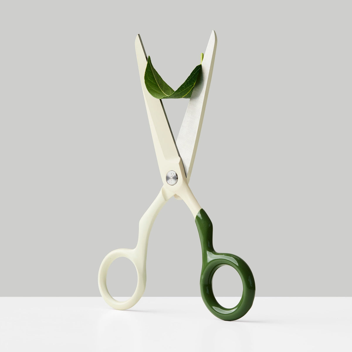 Design Scissors Spectra – Stainless Steel · 16.8 cm | Craighill