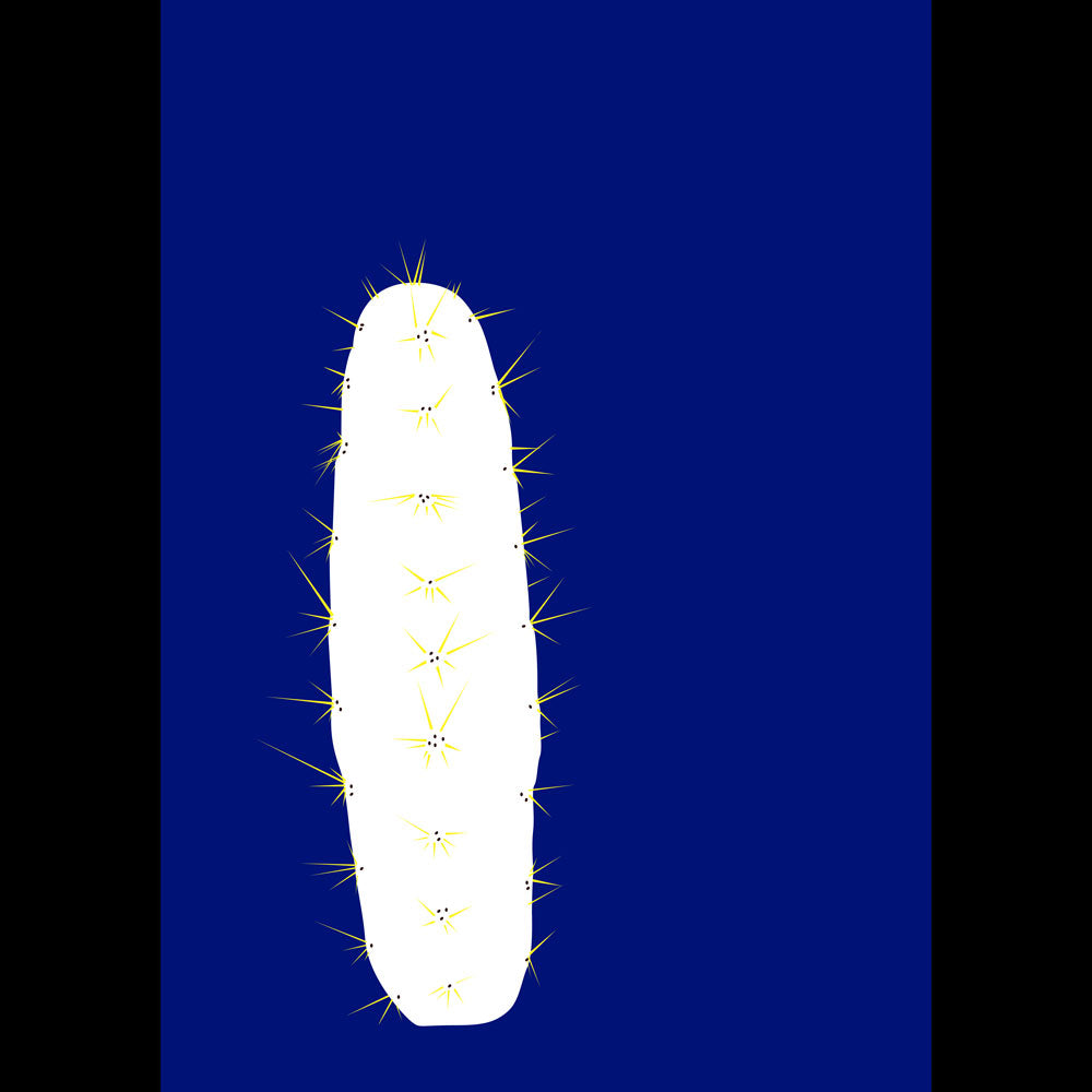 BLUE CACTUS | POSTER | Camilla Hjerl | HeyThereHi