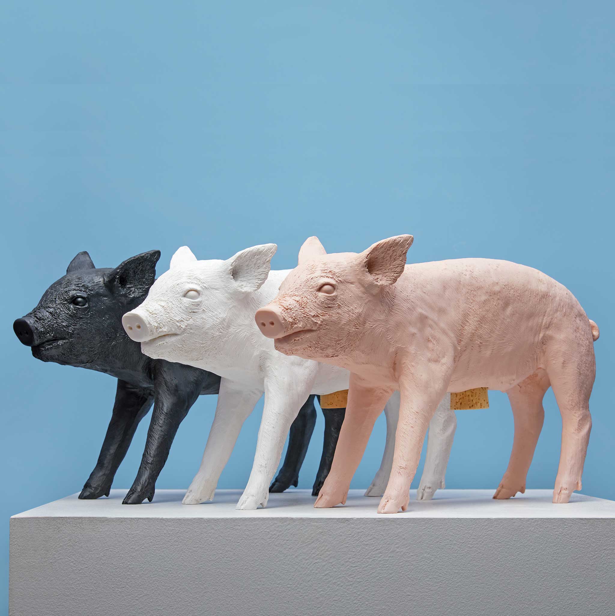 BANK in form of a PIG - huge Piggybank | Harry Allen | Areaware