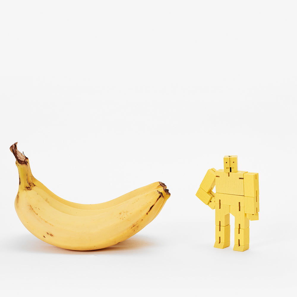 CUBEBOT® Micro | ROBOTS PUZZLES 3D | David Semaines | Sont conscients