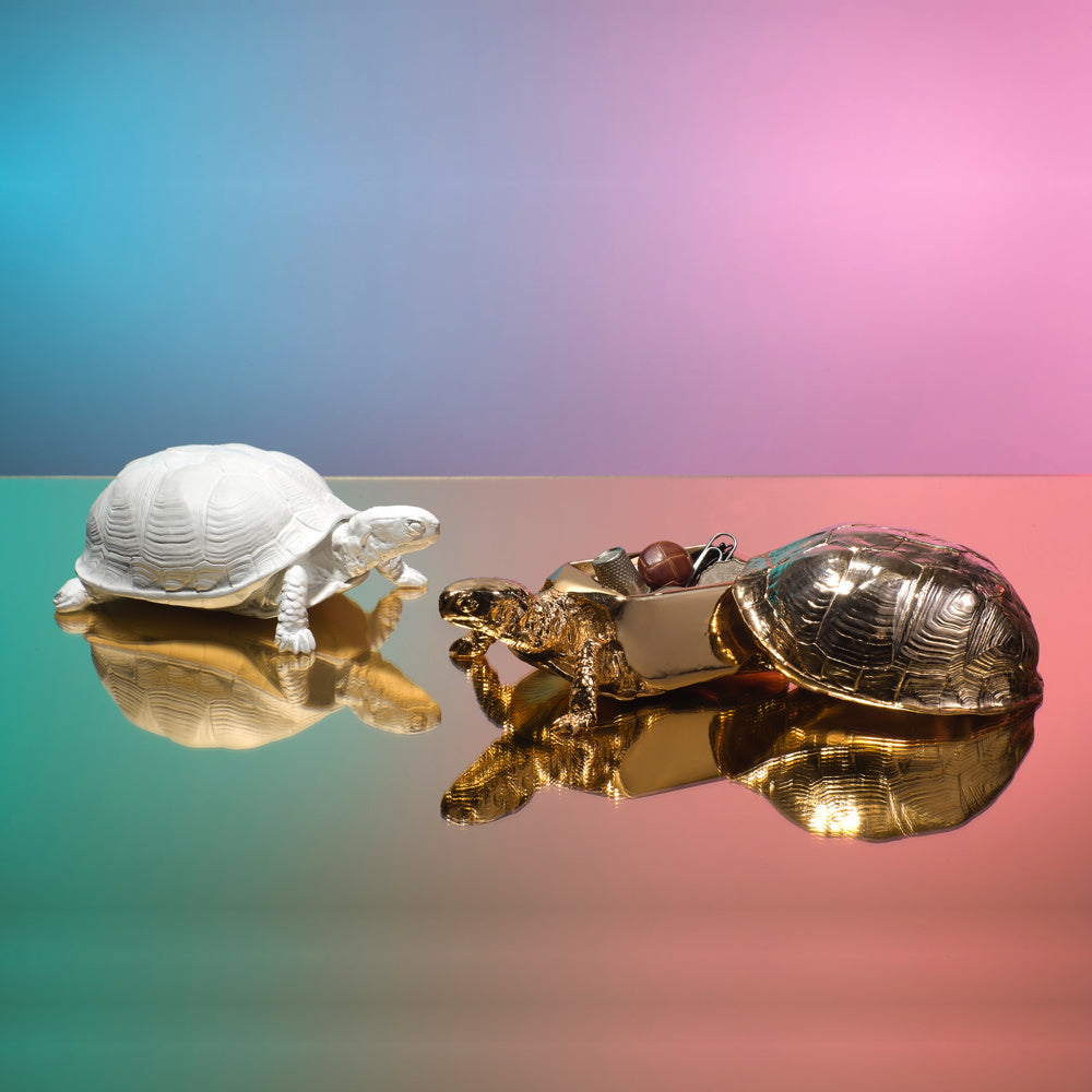 BOÎTE TORTUES | Harry Allen | Sont conscients