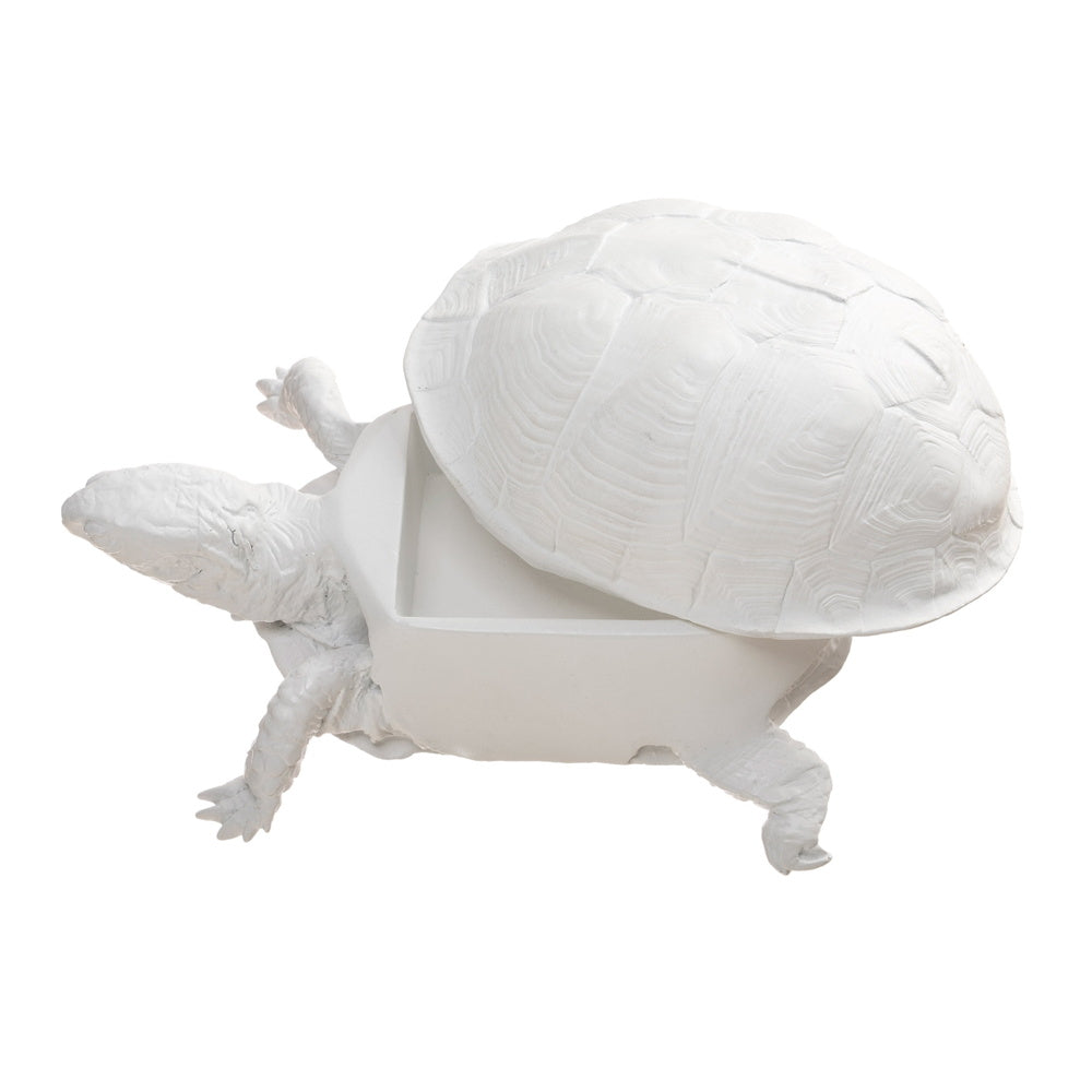 BOÎTE TORTUES | Harry Allen | Sont conscients