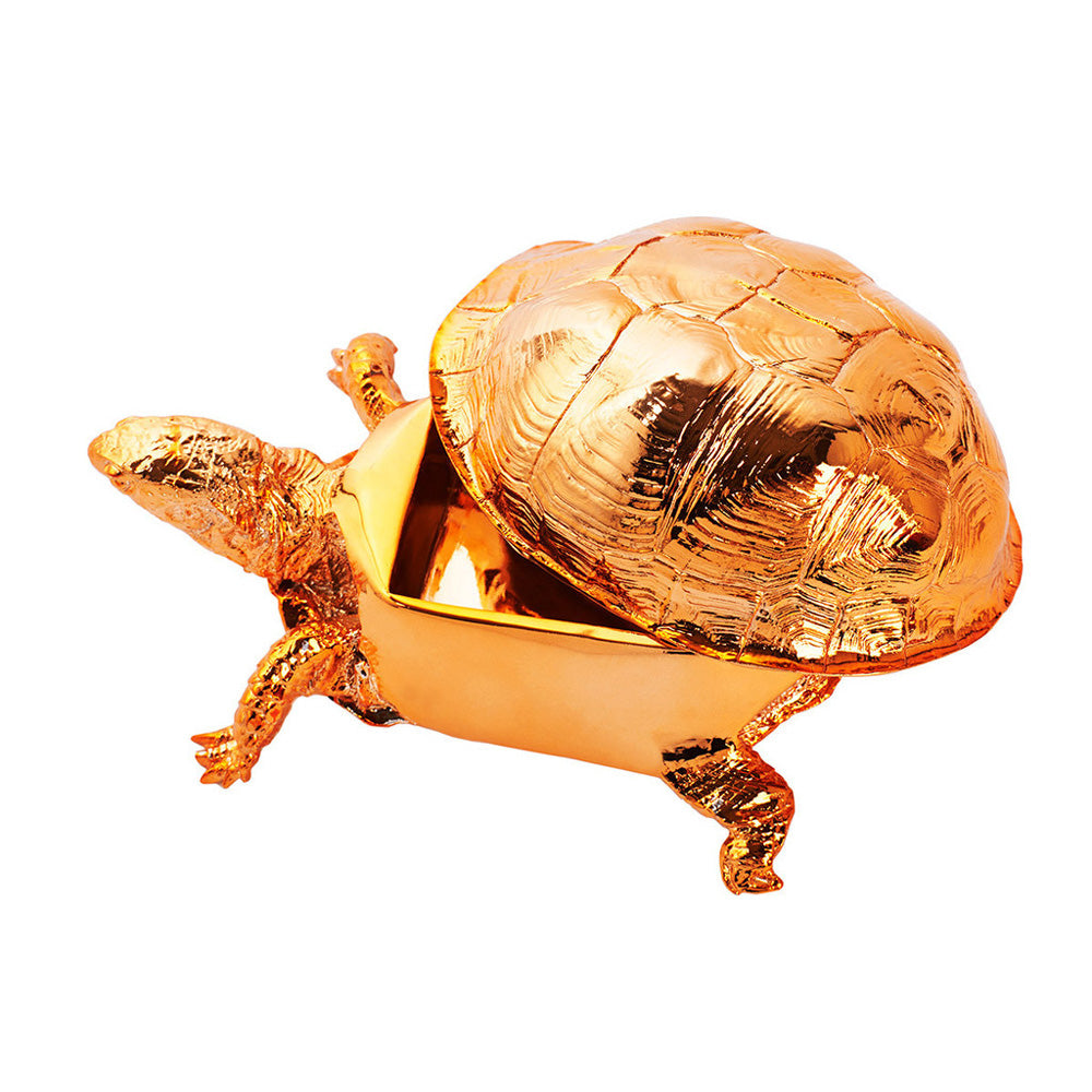 BOÎTE TORTUES | Harry Allen | Sont conscients