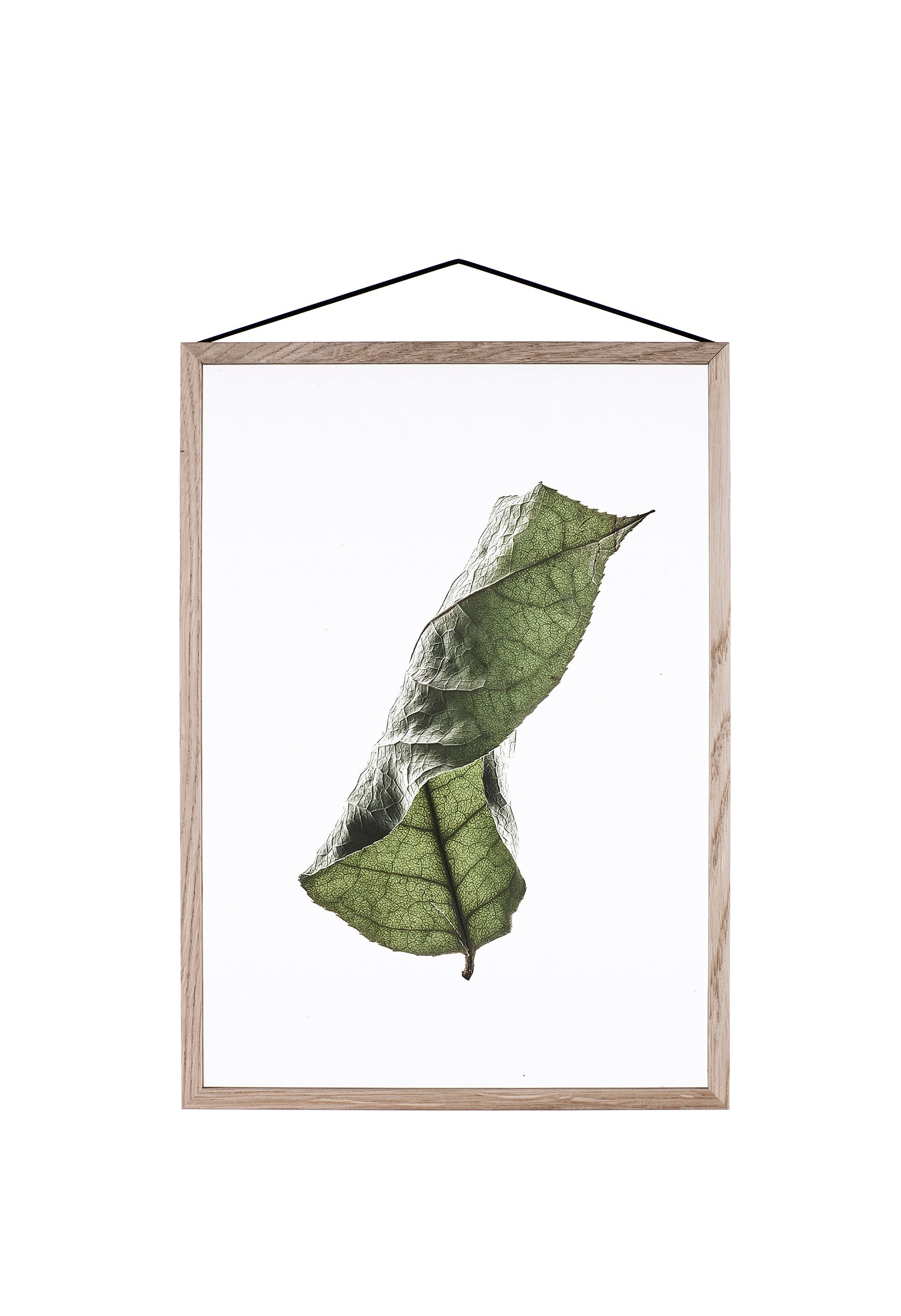 FLOATING LEAVES - transparent poster | Moebe